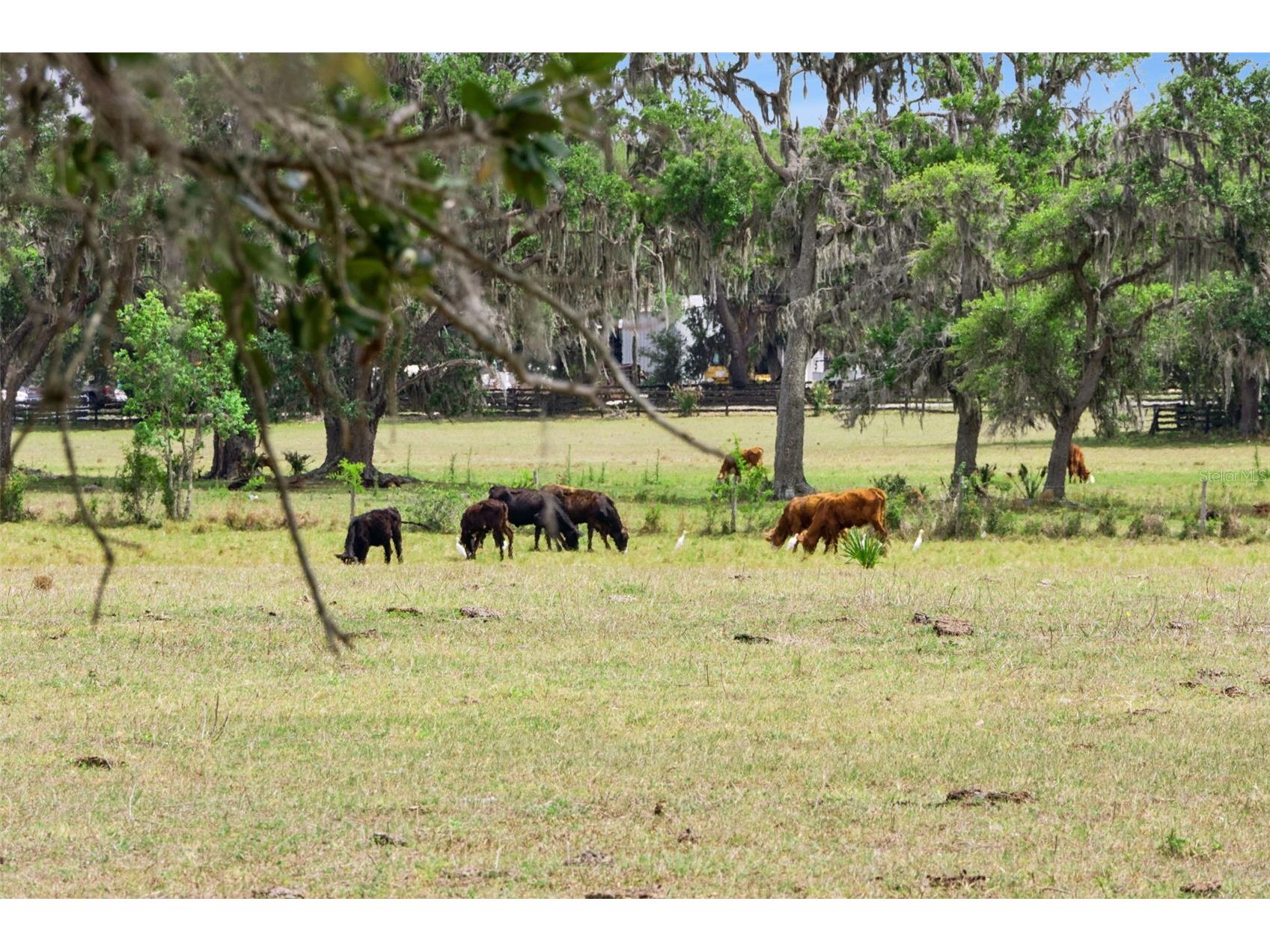 2993 Poplar Avenue Leesburg FL 34748 G5112544 image35