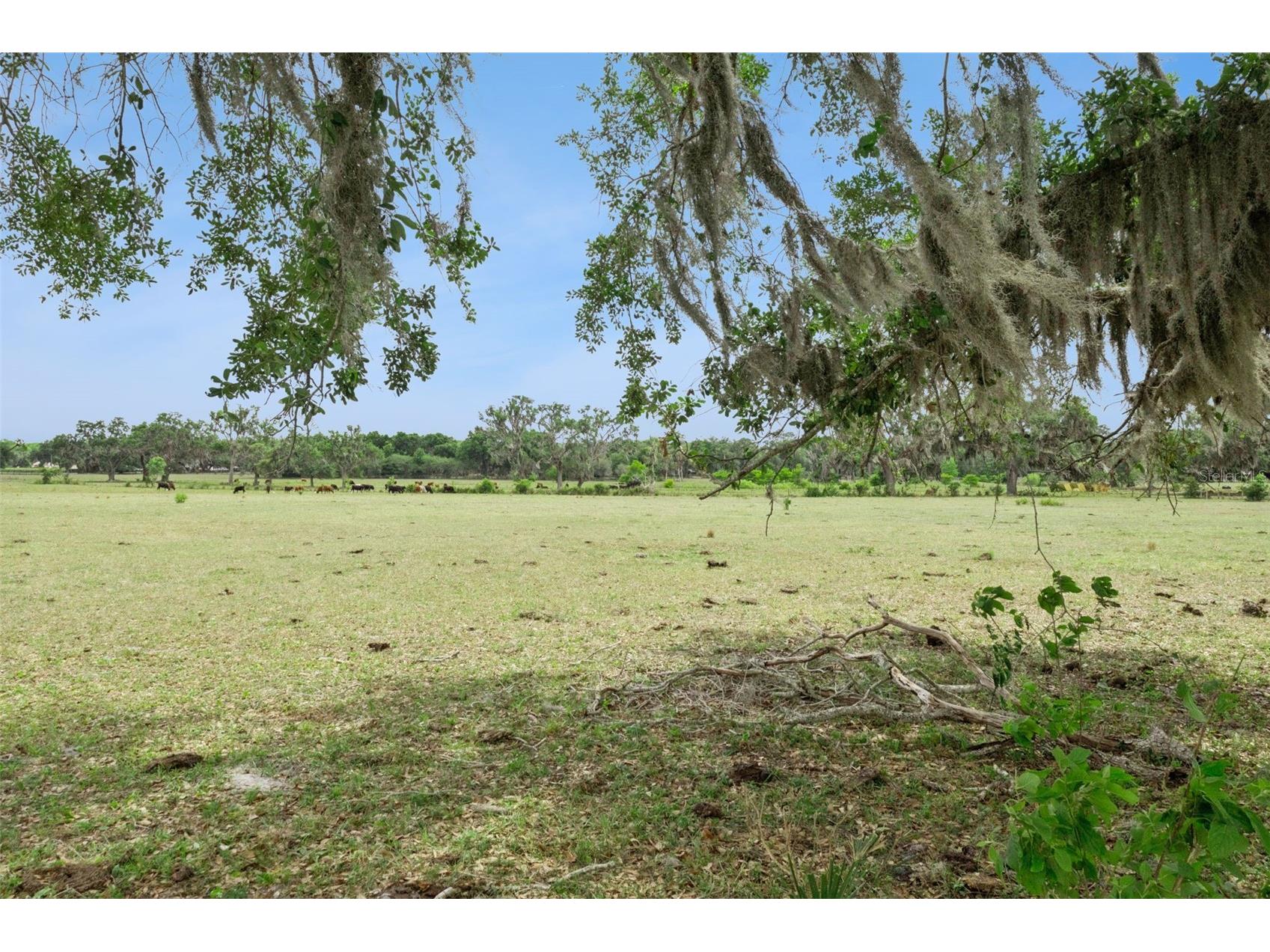 2993 Poplar Avenue Leesburg FL 34748 G5112544 image36
