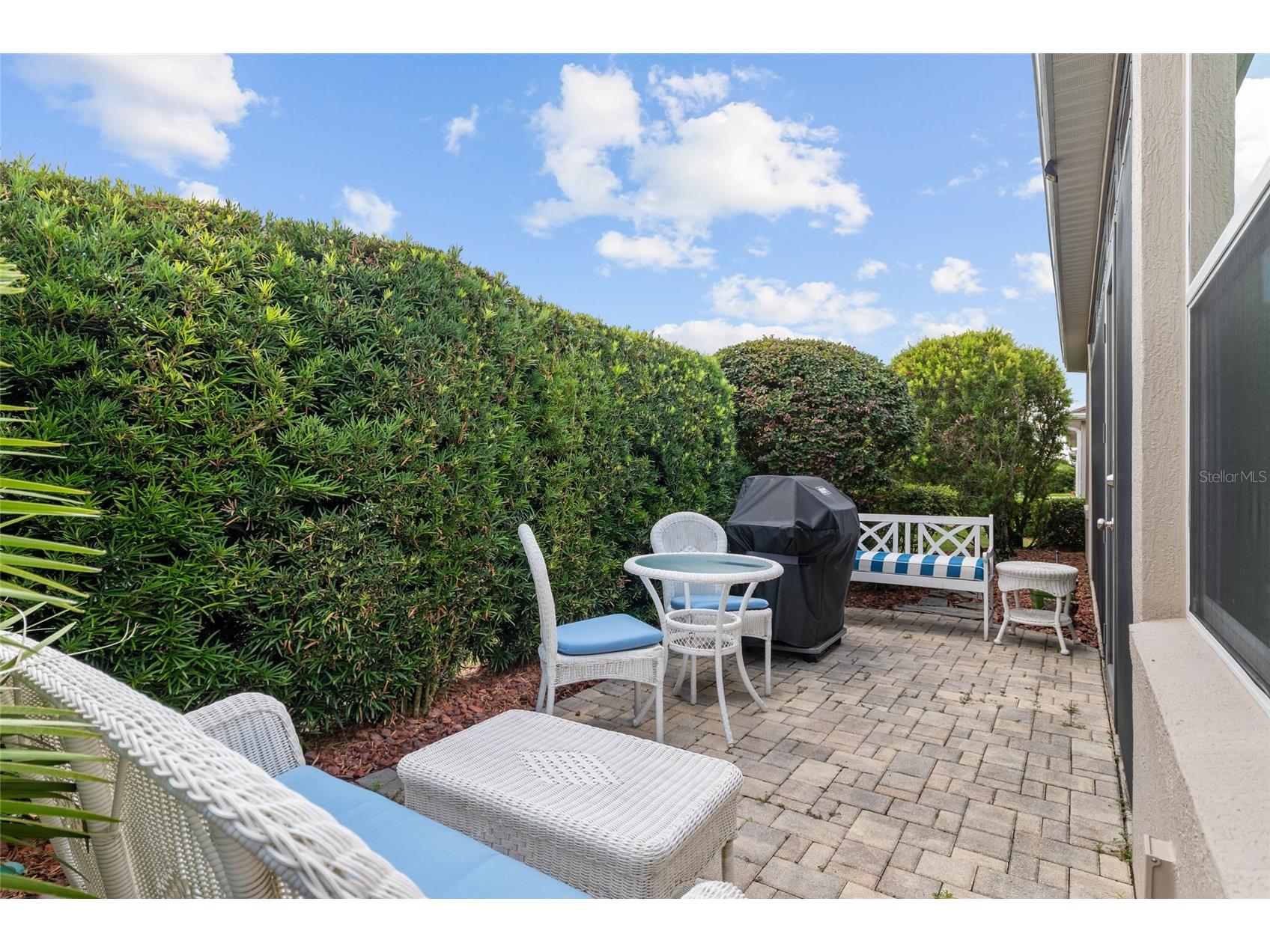 2993 Rainsong Avenue The Villages FL 32163 G5113035 image14