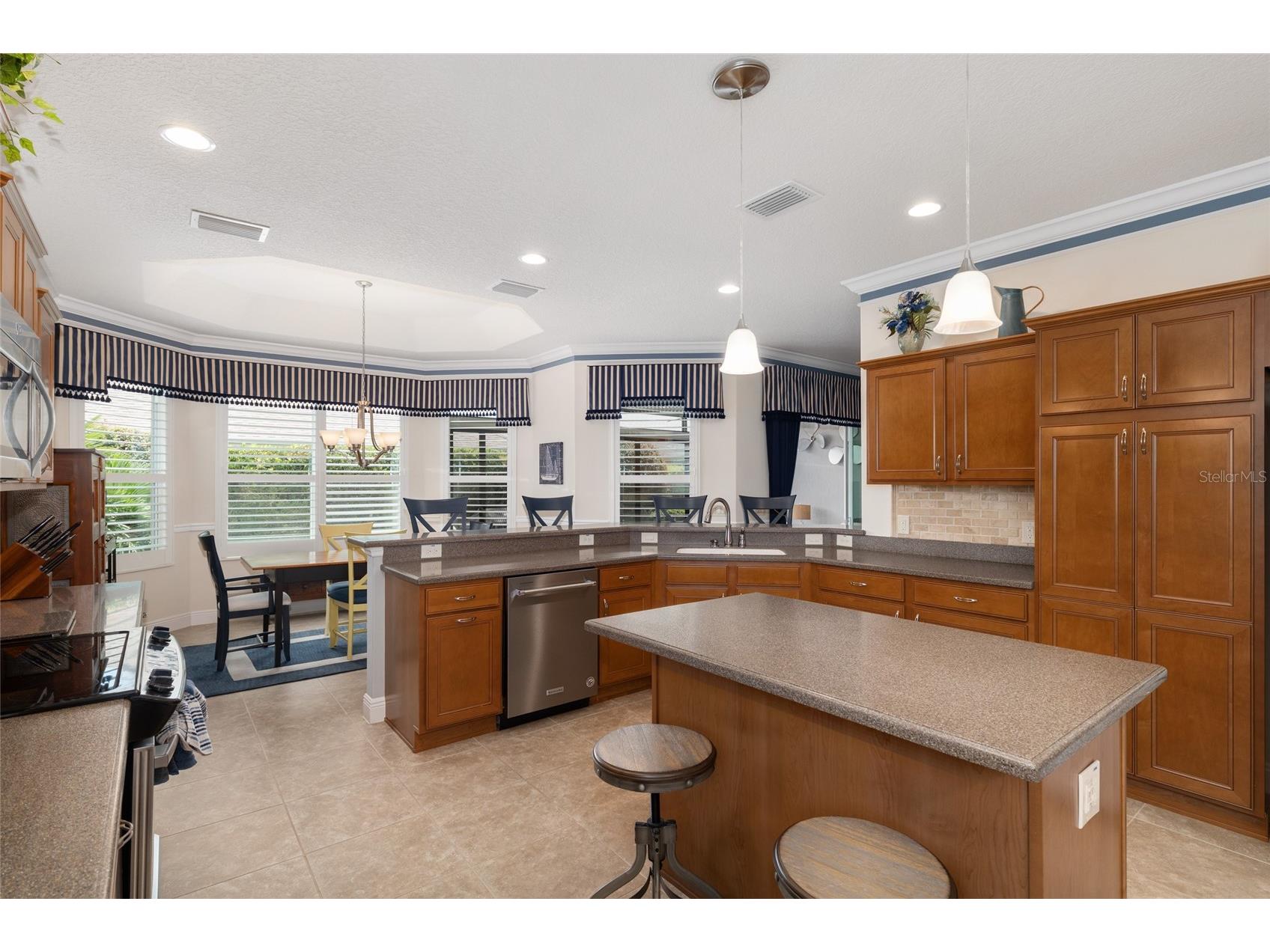 2993 Rainsong Avenue The Villages FL 32163 G5113035 image38