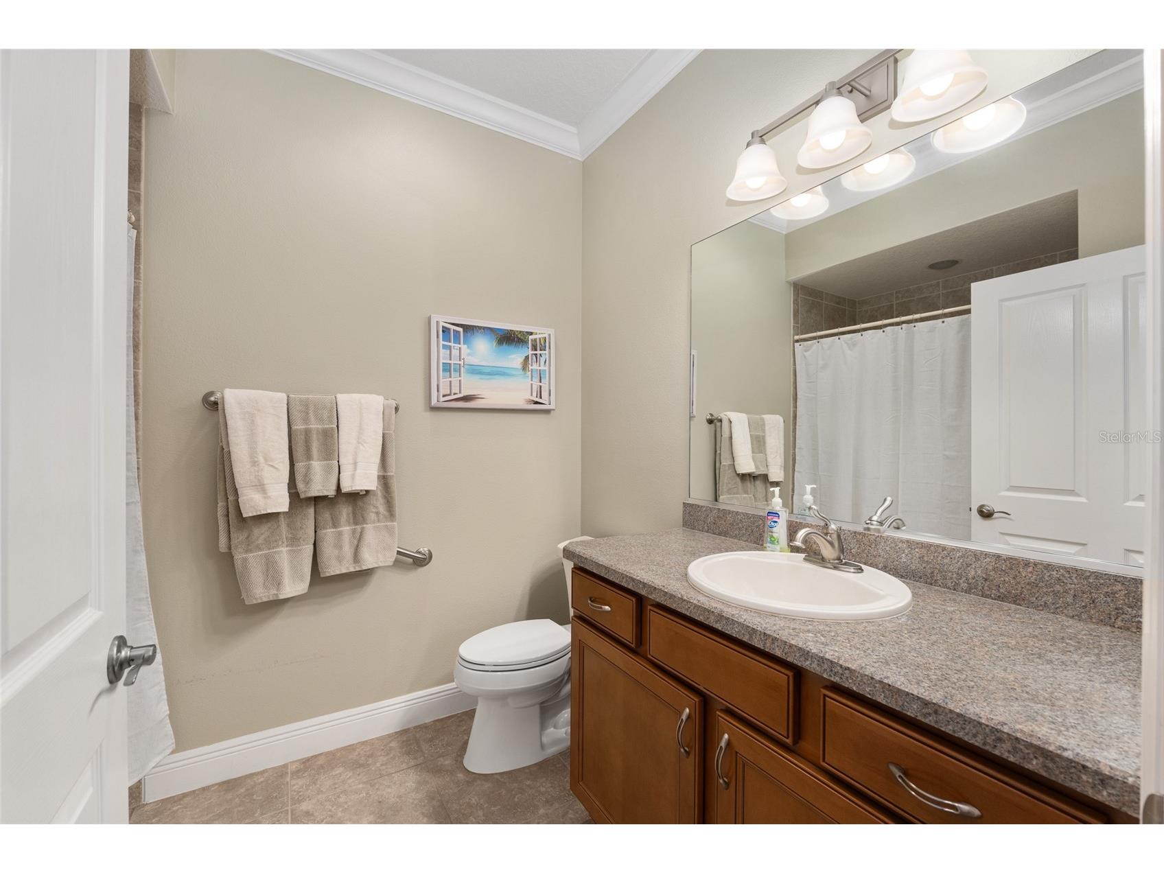2993 Rainsong Avenue The Villages FL 32163 G5113035 image50