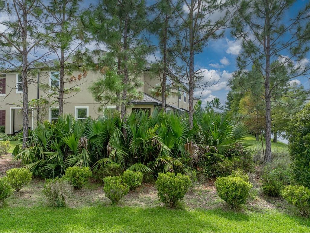 29934 Southwell Lane Wesley Chapel FL 33543 TB8426851 image56