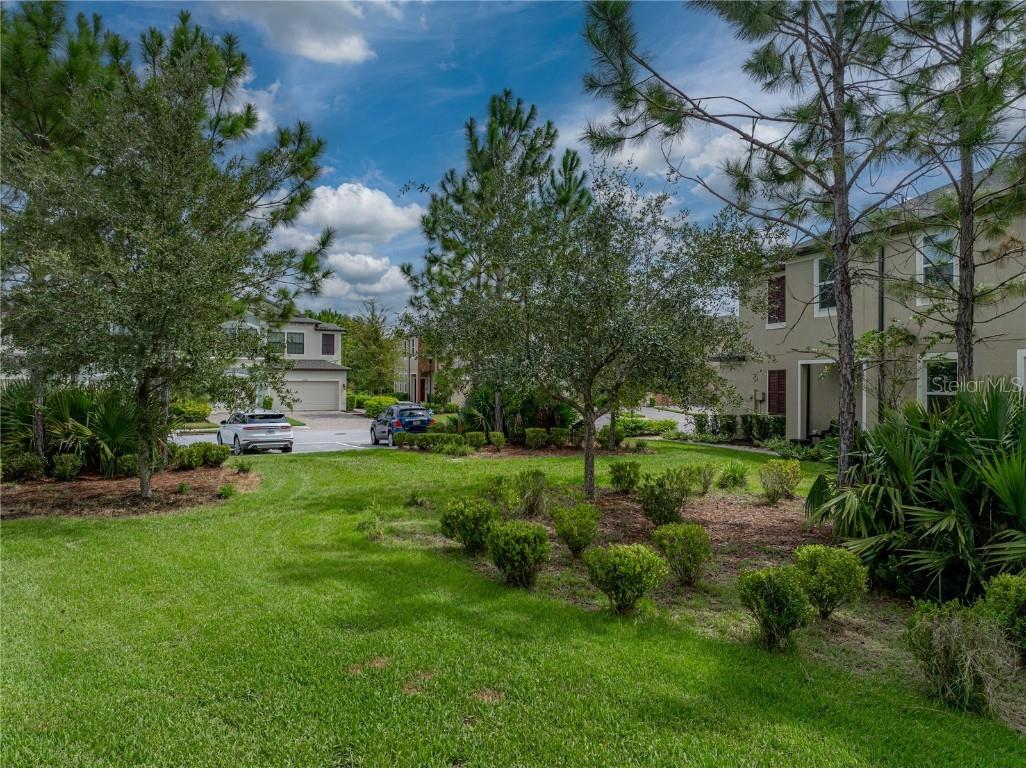 29934 Southwell Lane Wesley Chapel FL 33543 TB8426851 image57