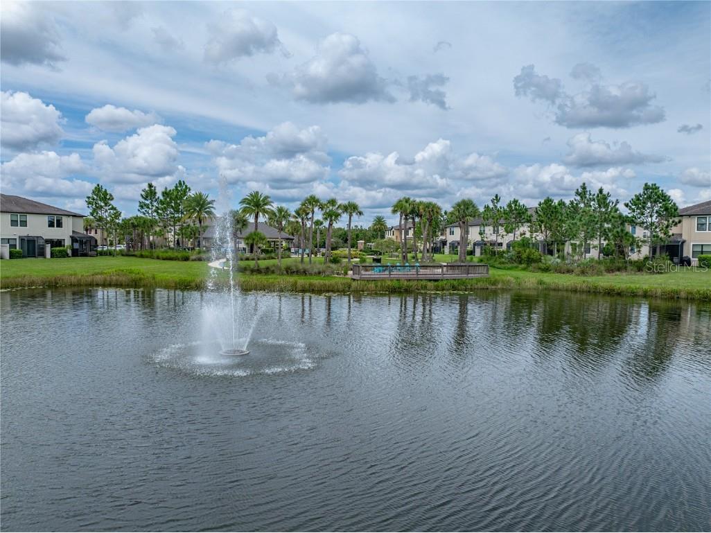 29934 Southwell Lane Wesley Chapel FL 33543 TB8426851 image67