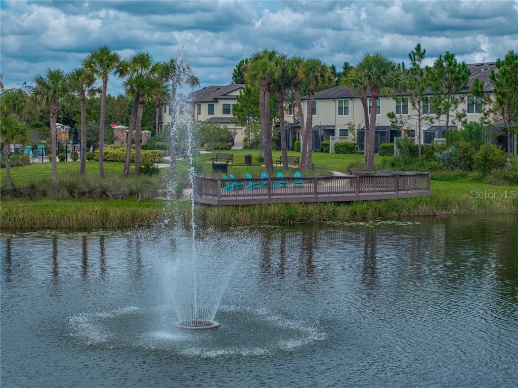 29934 Southwell Lane Wesley Chapel FL 33543 TB8426851 image68