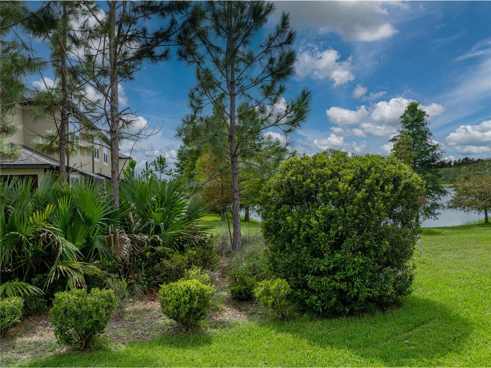 29934 Southwell Lane Wesley Chapel FL 33543 TB8504027 image52