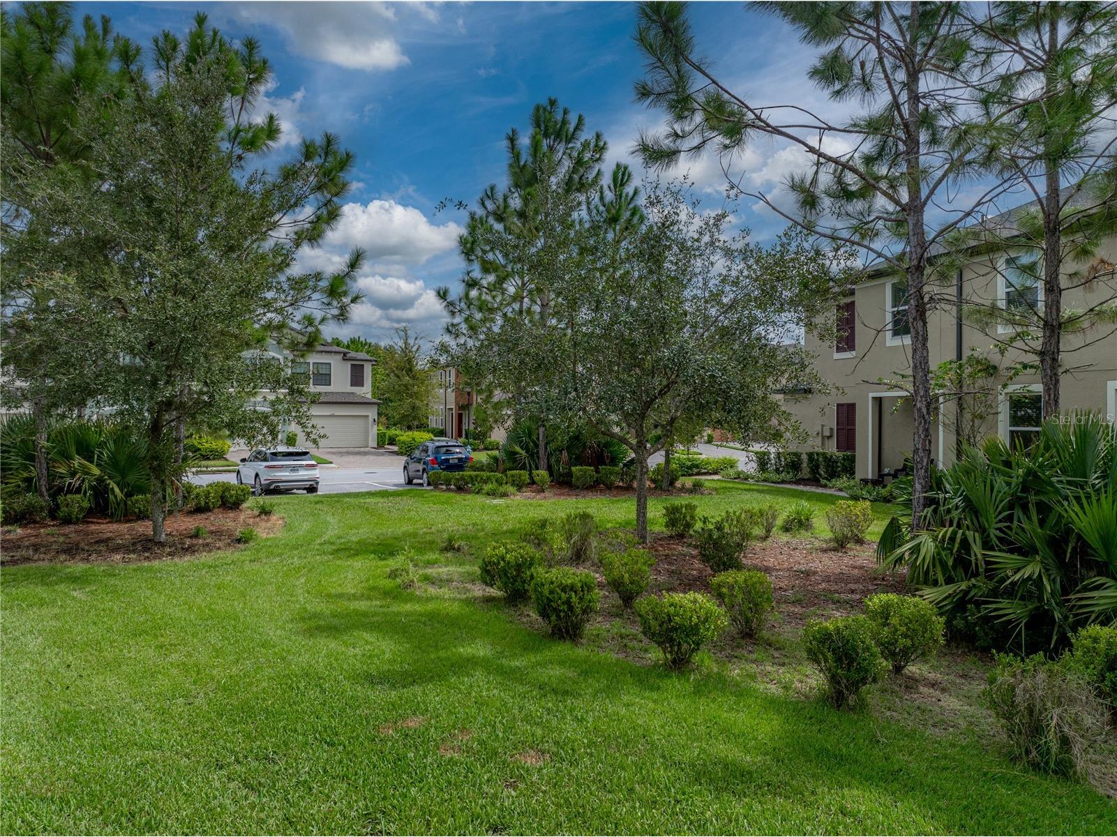 29934 Southwell Lane Wesley Chapel FL 33543 TB8504027 image54