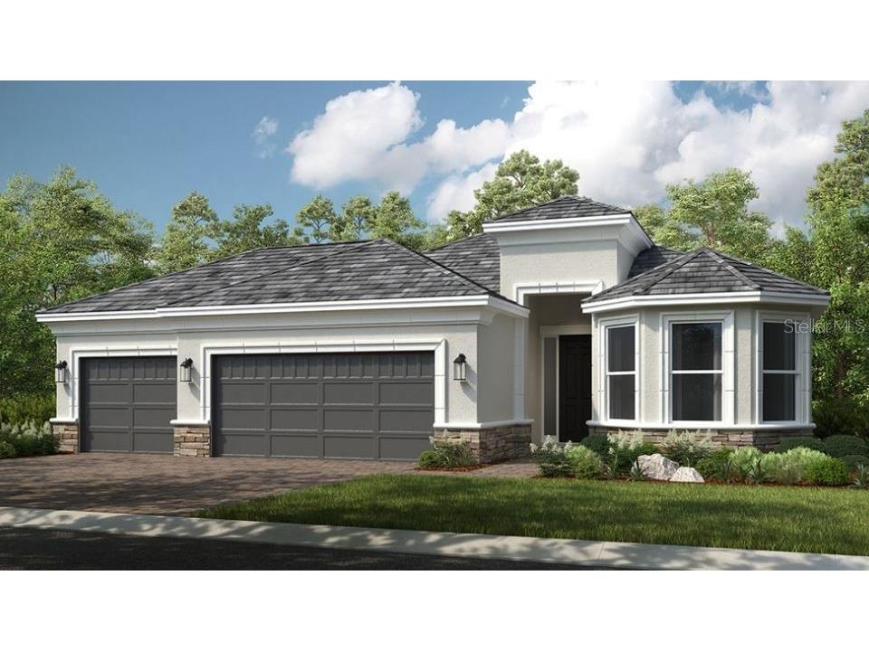29936 Rusco Court Wesley Chapel FL 33543 TB8372840 image1