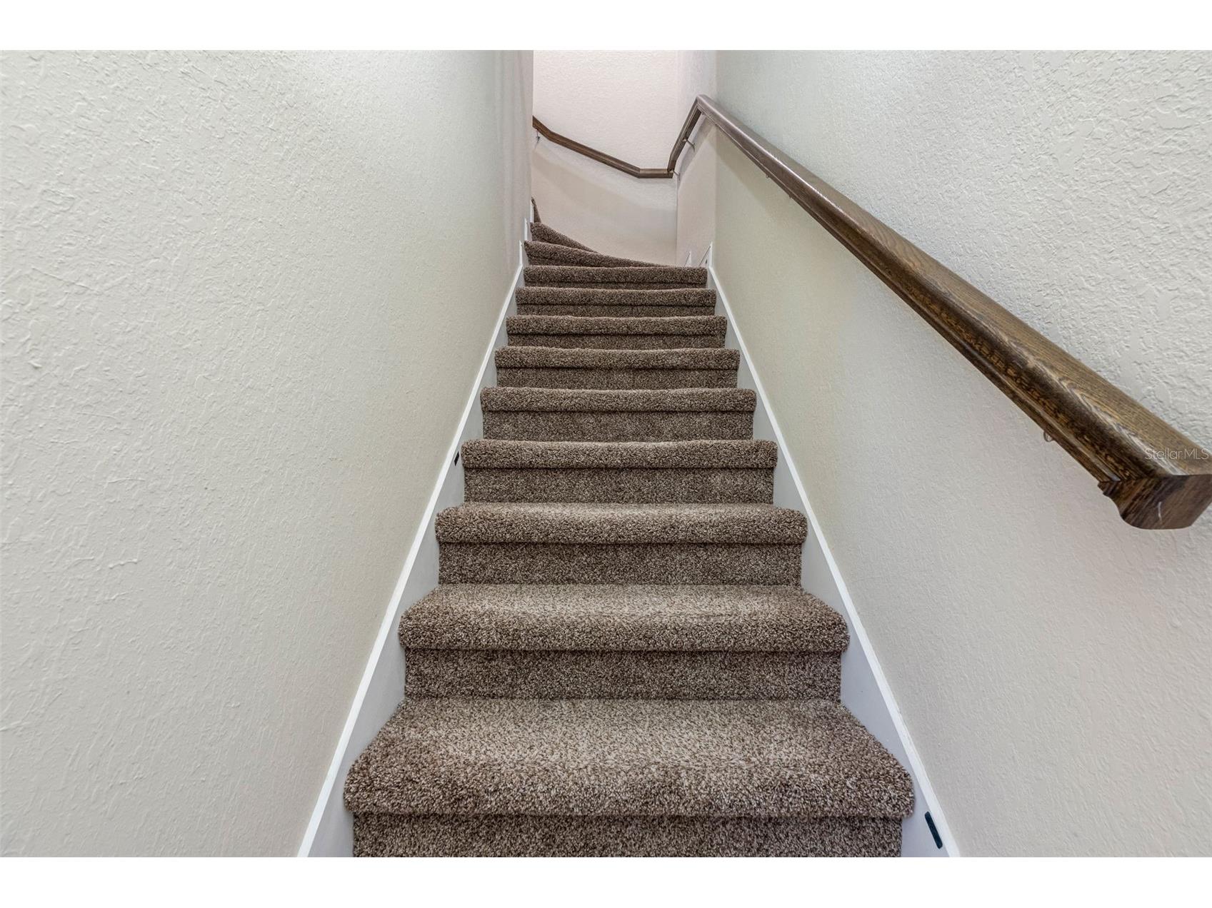 29943 Ganga Way Wesley Chapel FL 33543 TB8488755 image14