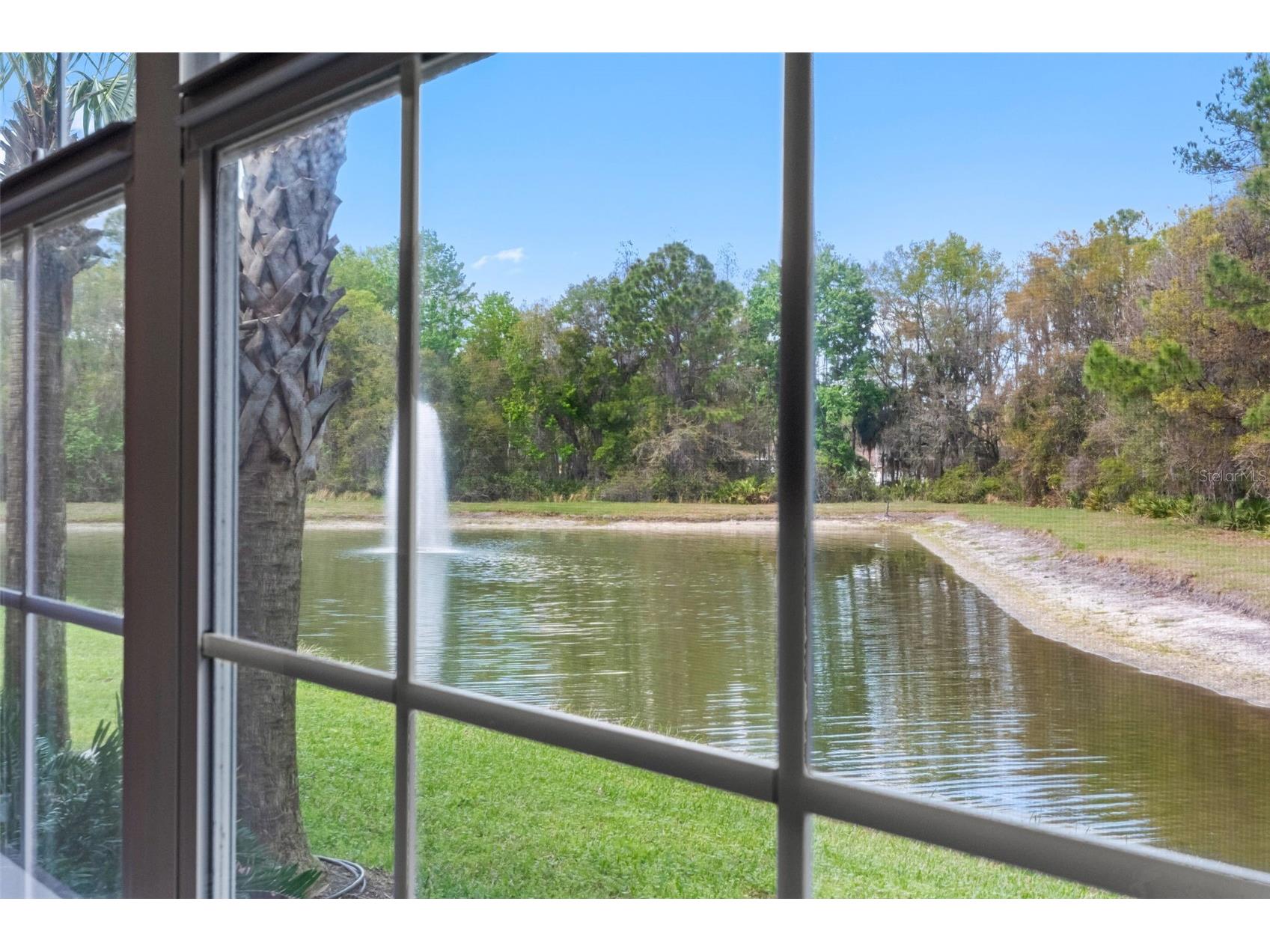 29943 Ganga Way Wesley Chapel FL 33543 TB8488755 image21