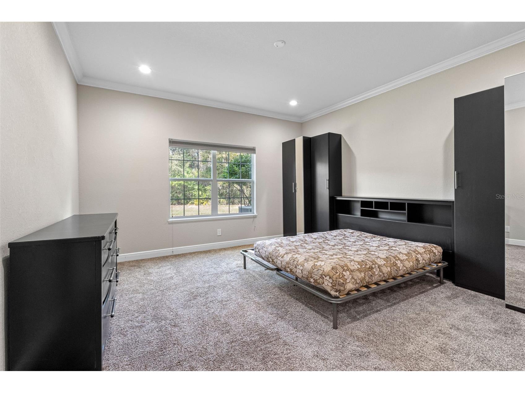 29943 Ganga Way Wesley Chapel FL 33543 TB8488755 image22
