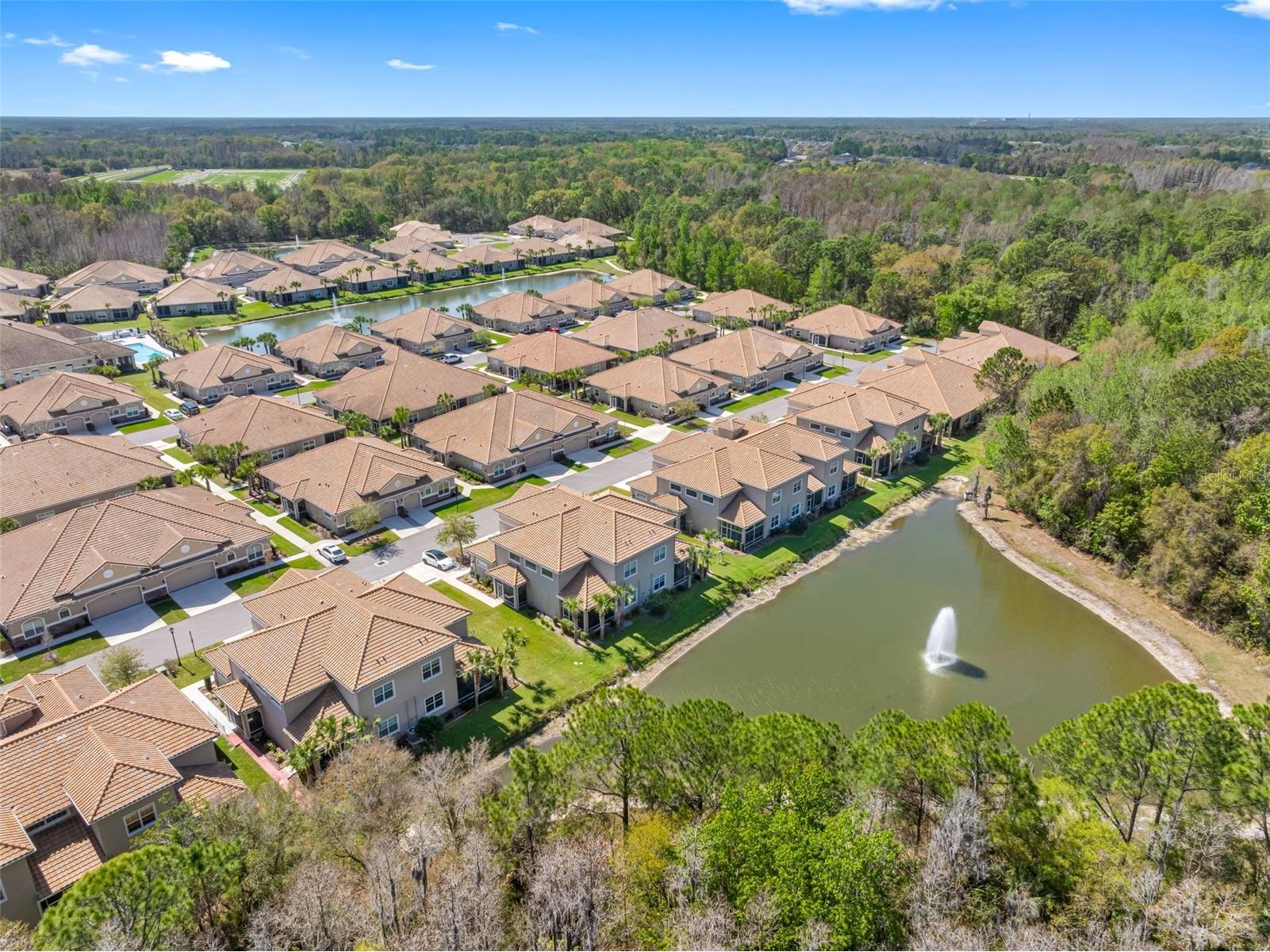 29943 Ganga Way Wesley Chapel FL 33543 TB8488755 image59