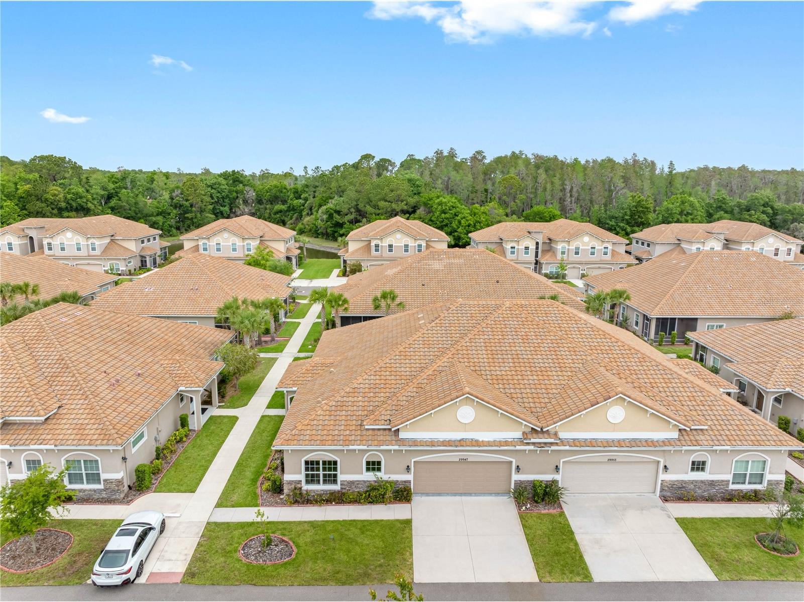 29947 Yamuna Way Wesley Chapel FL 33543 W7884746 image25