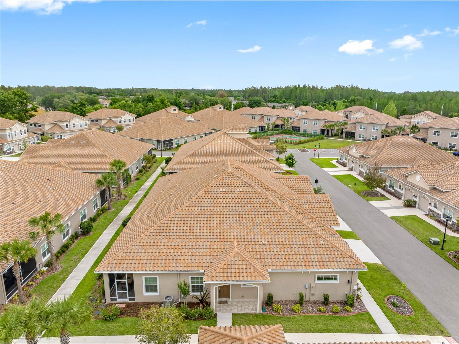 29947 Yamuna Way Wesley Chapel FL 33543 W7884746 image26