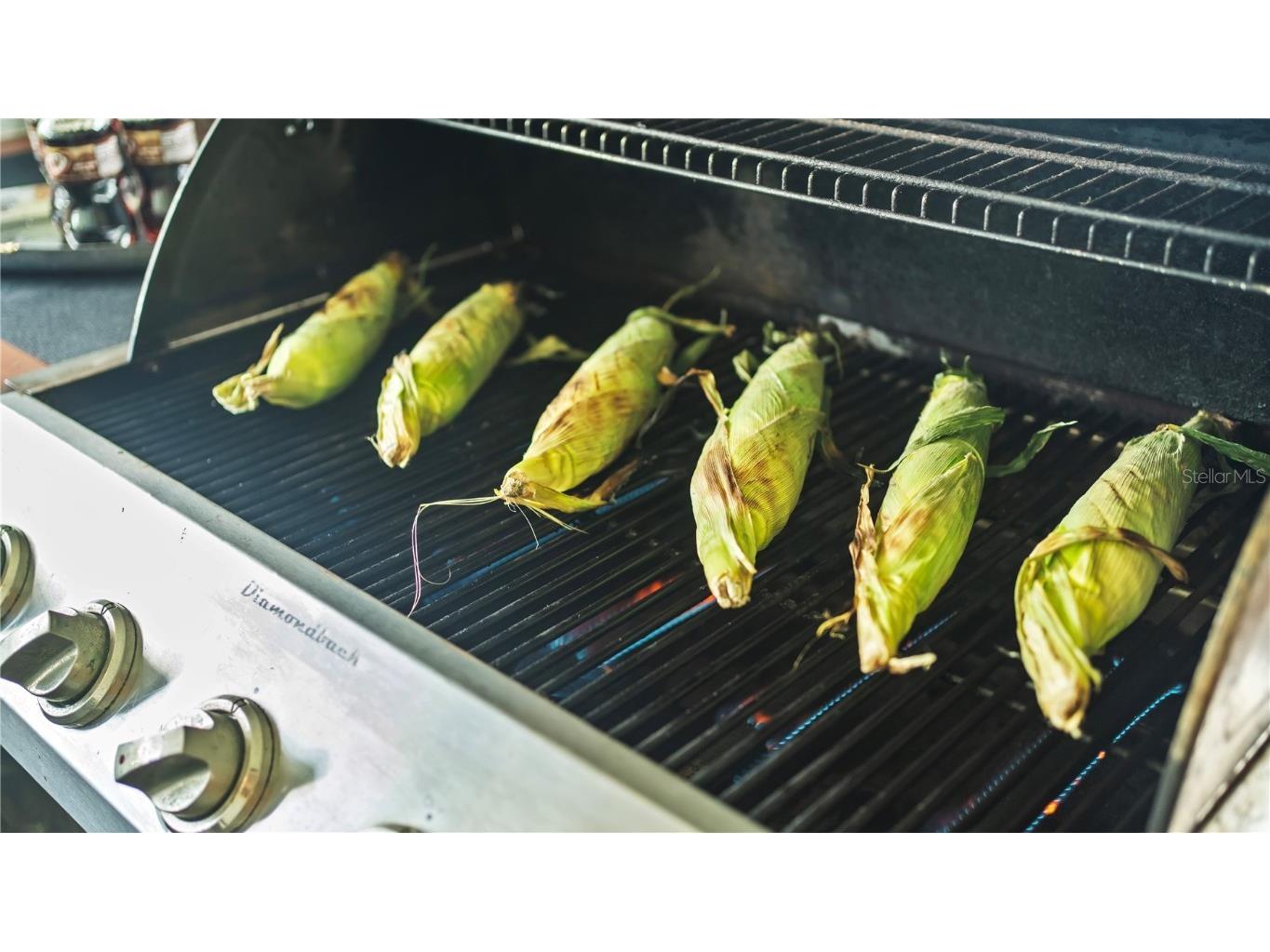 2995 Thomas Lane North Port FL 34286 C7517060 image61