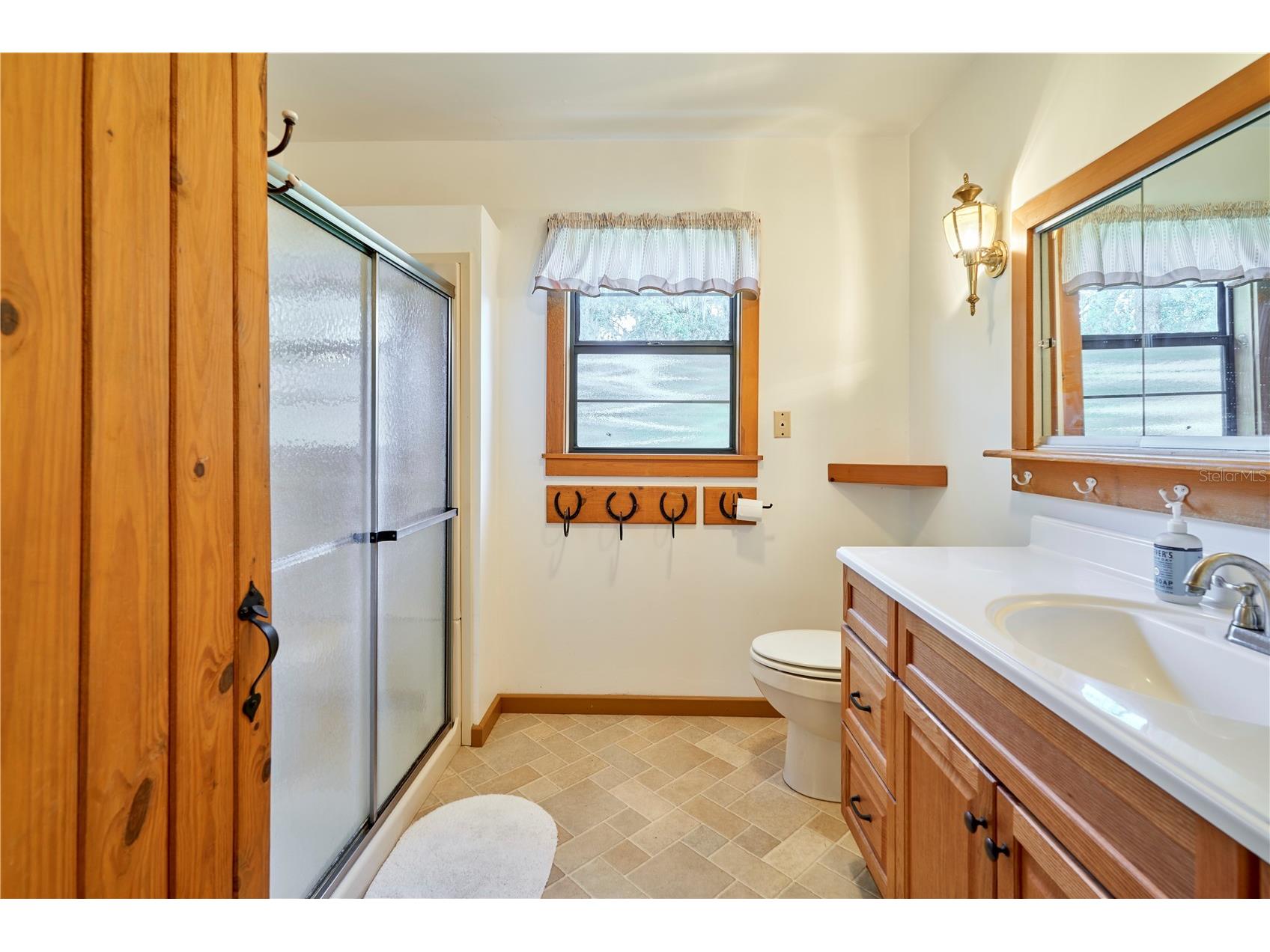 29953 Briarthorn Loop Wesley Chapel FL 33545 TB8522251 image41