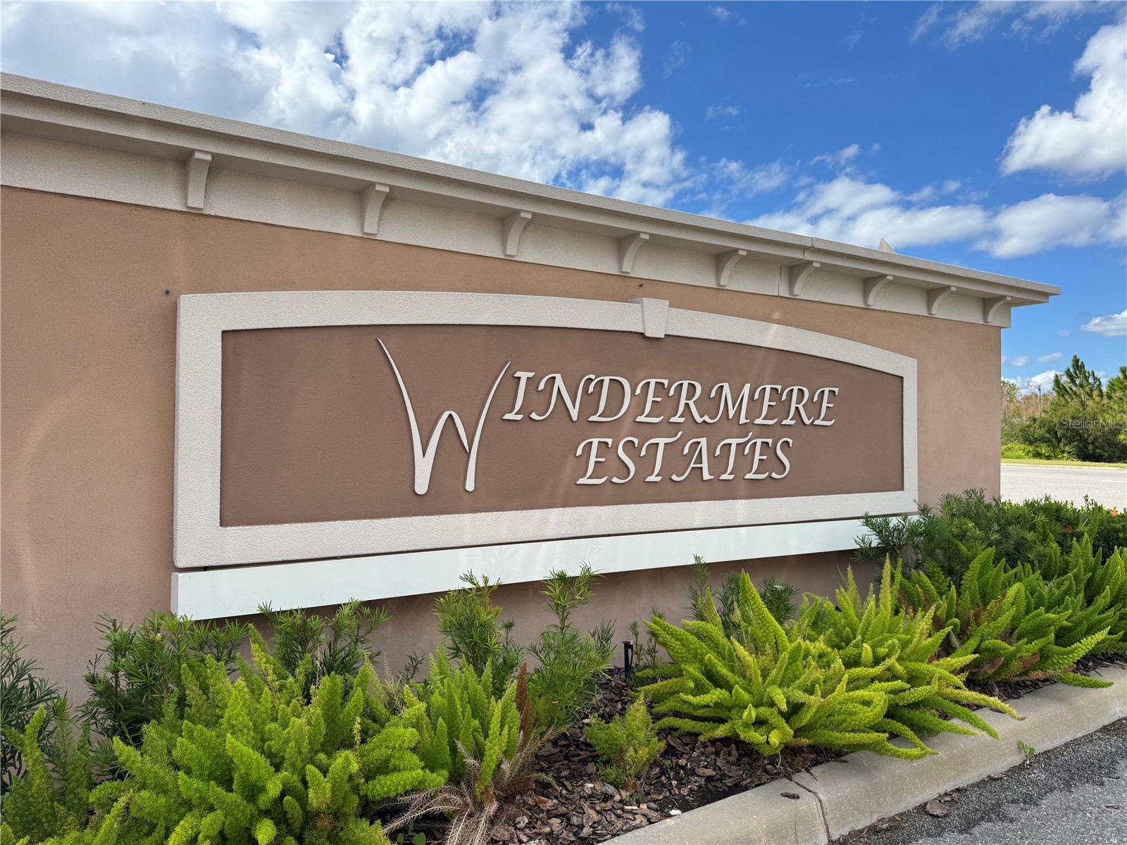 29955 Southwell Lane Wesley Chapel FL 33543 TB8470454 image2