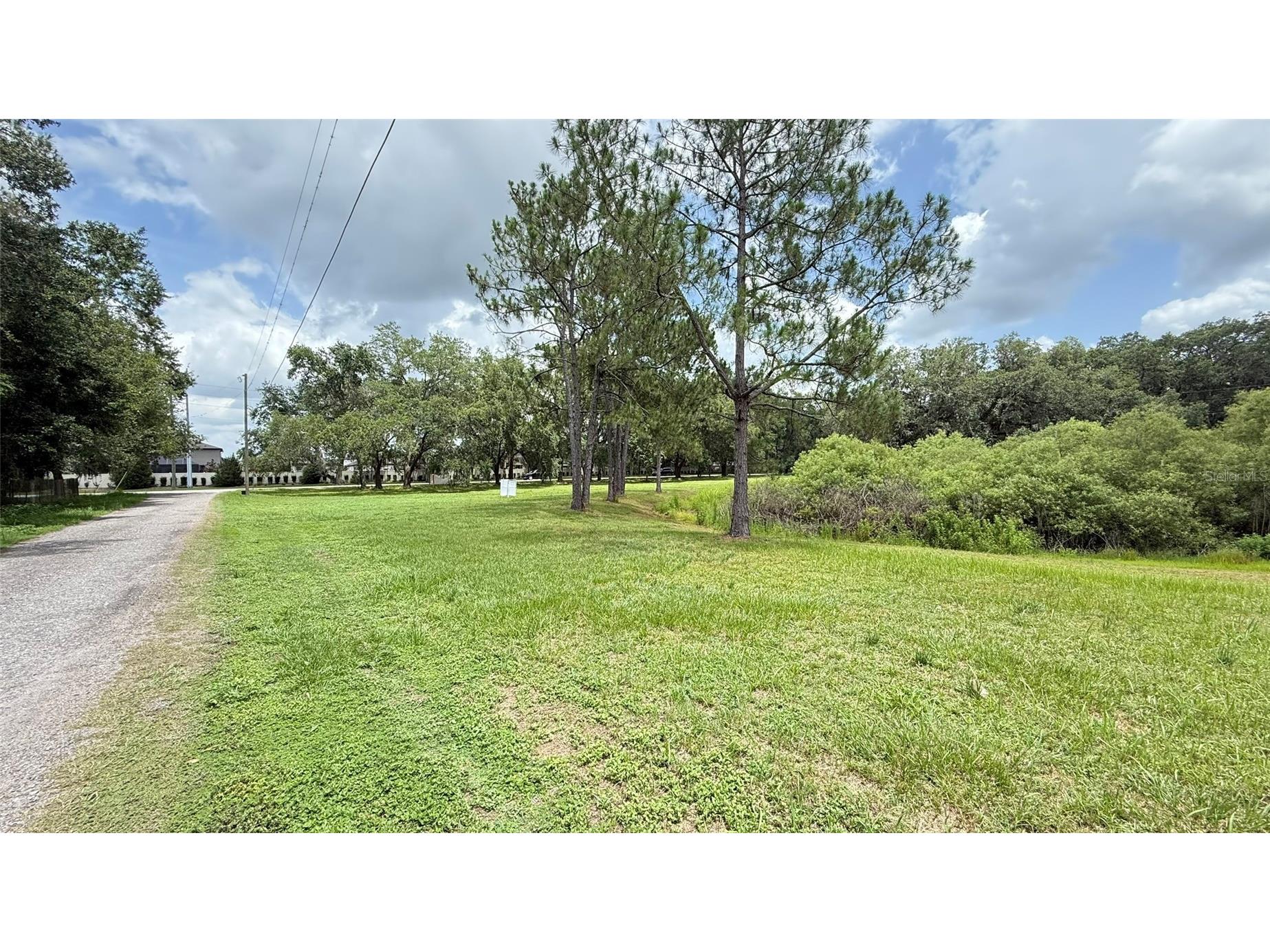 29956 New Dutch Lane Wesley Chapel FL 33545 T3547929 image1