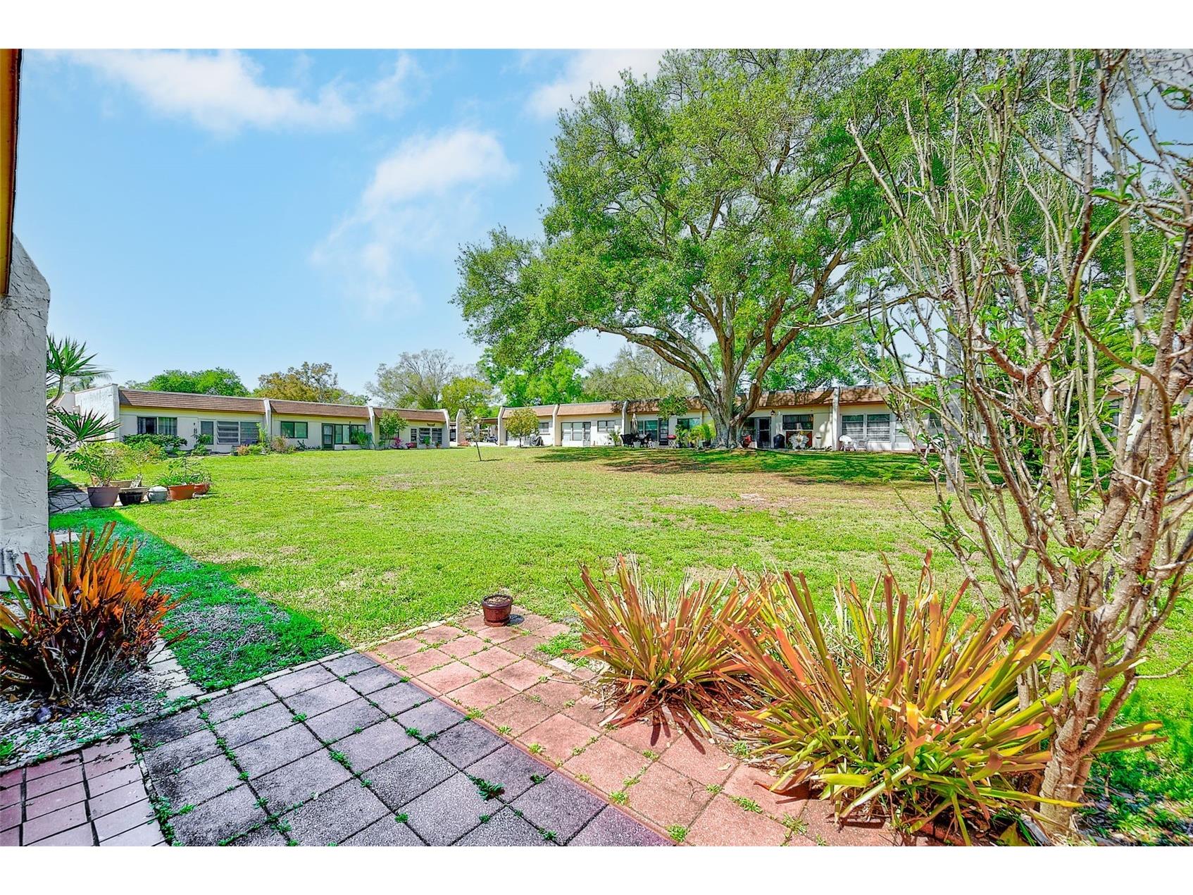 2996 Mission Drive E #60E Clearwater FL 33759 TB8489302 image30