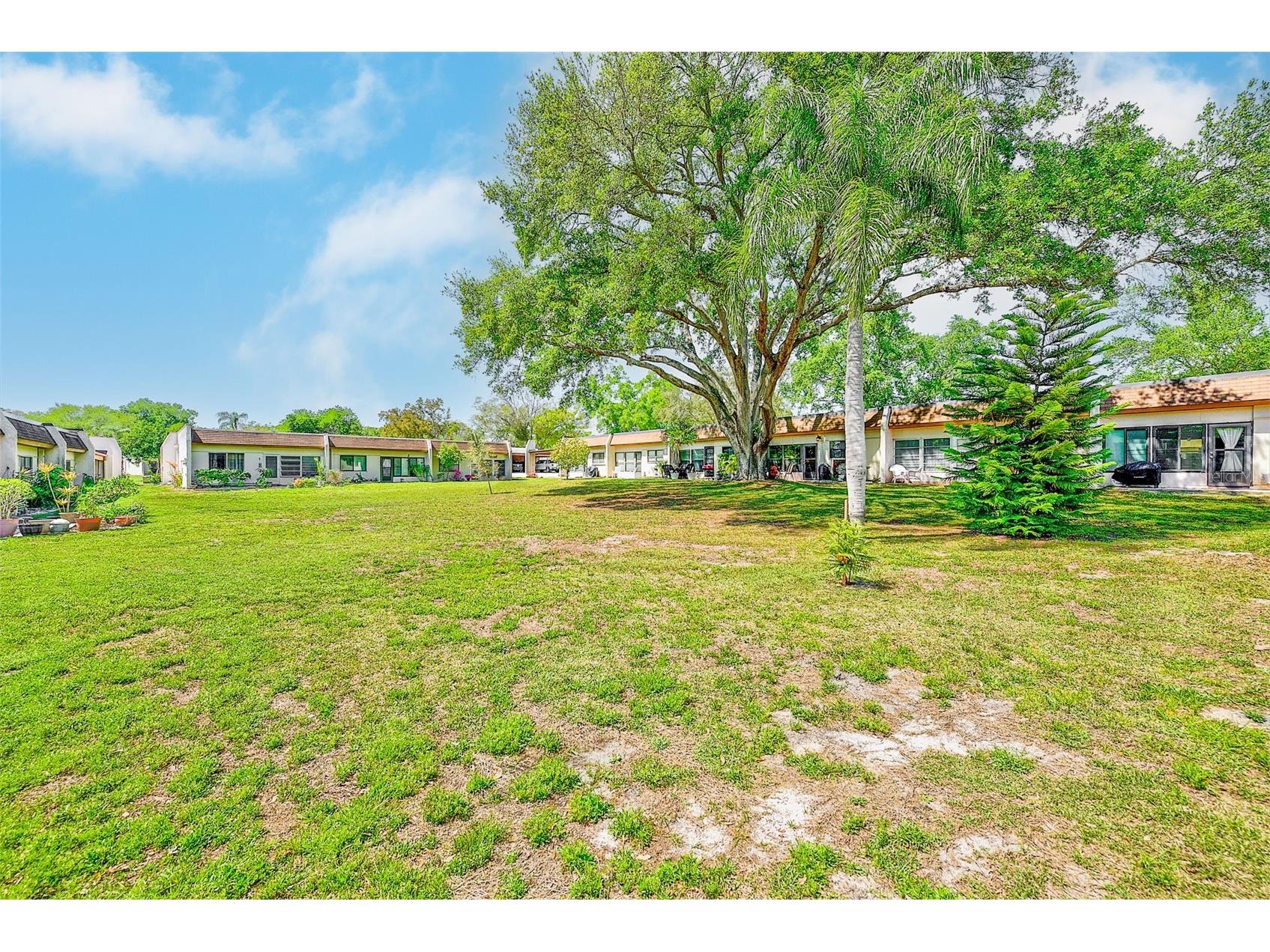2996 Mission Drive E #60E Clearwater FL 33759 TB8489302 image31