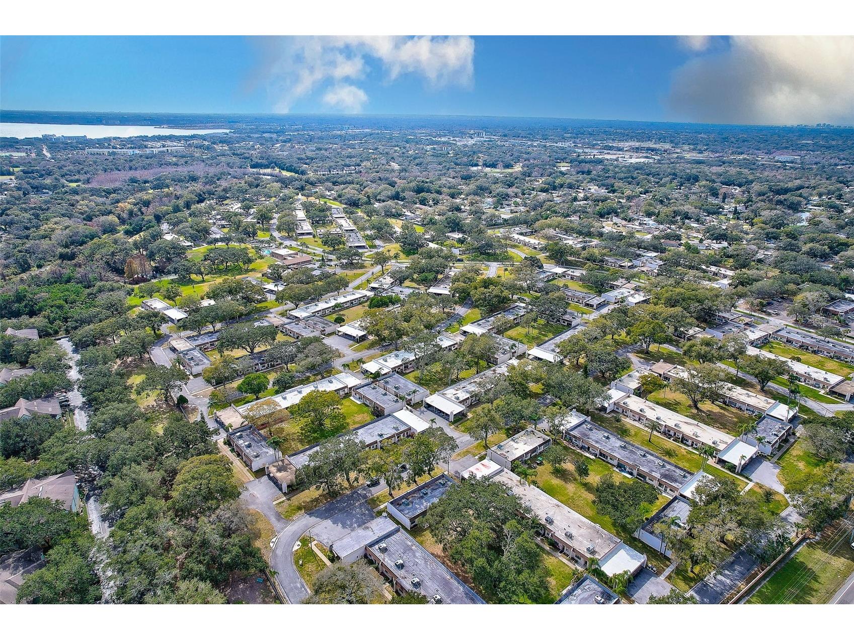2996 Mission Drive E #60E Clearwater FL 33759 TB8489302 image41