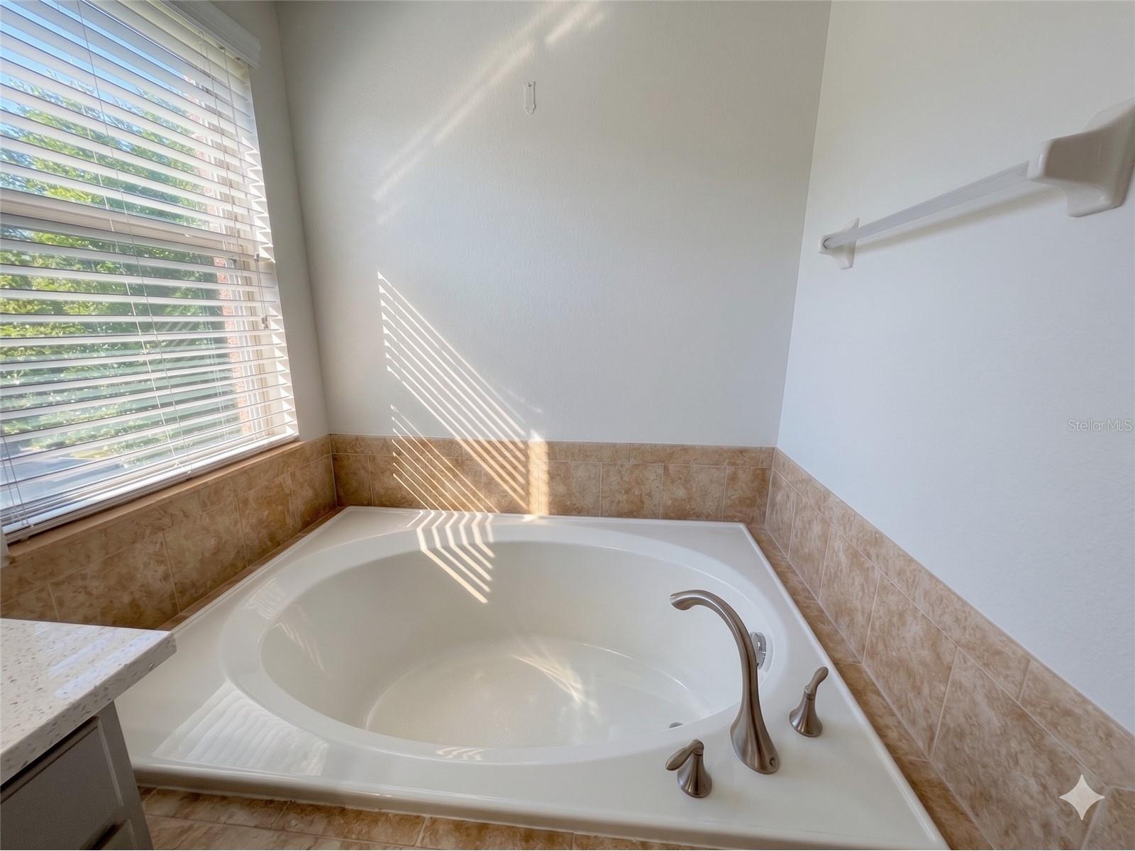 2997 Buccaneer Palm Road Kissimmee FL 34747 O6402181 image24
