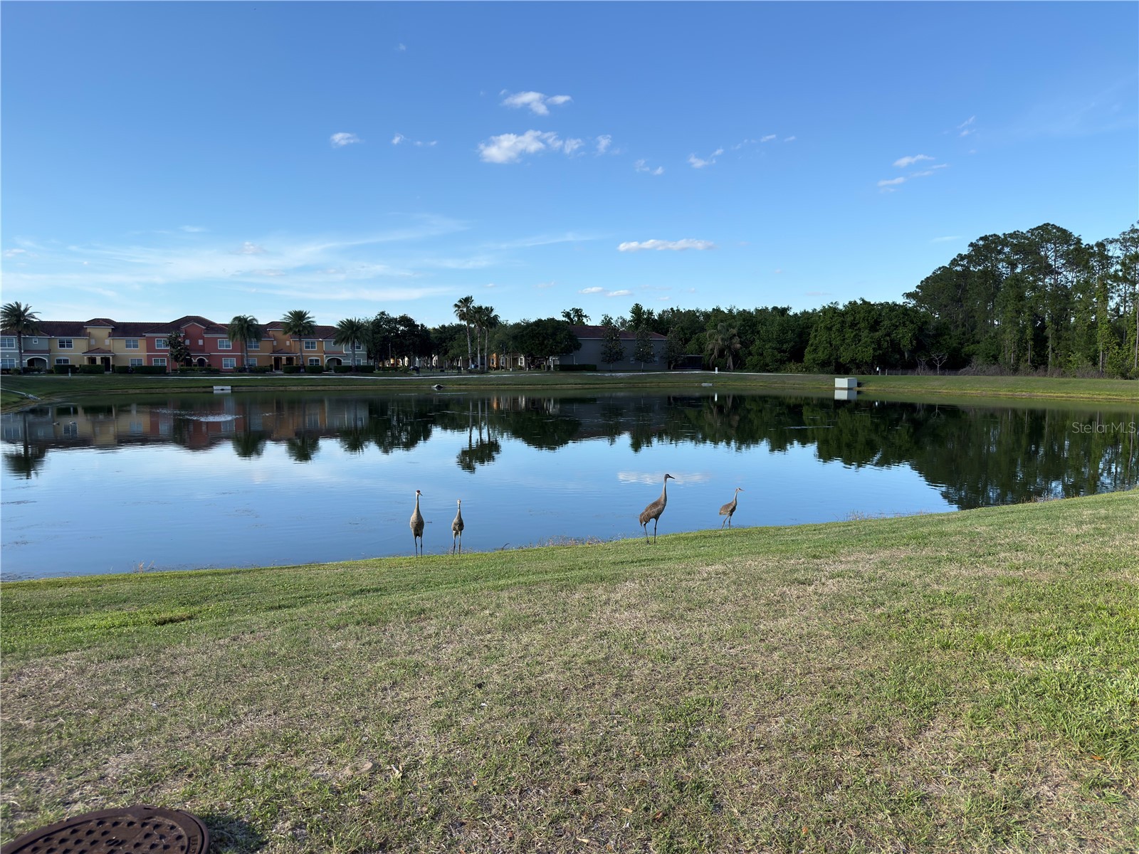 2997 Buccaneer Palm Road Kissimmee FL 34747 O6402181 image46