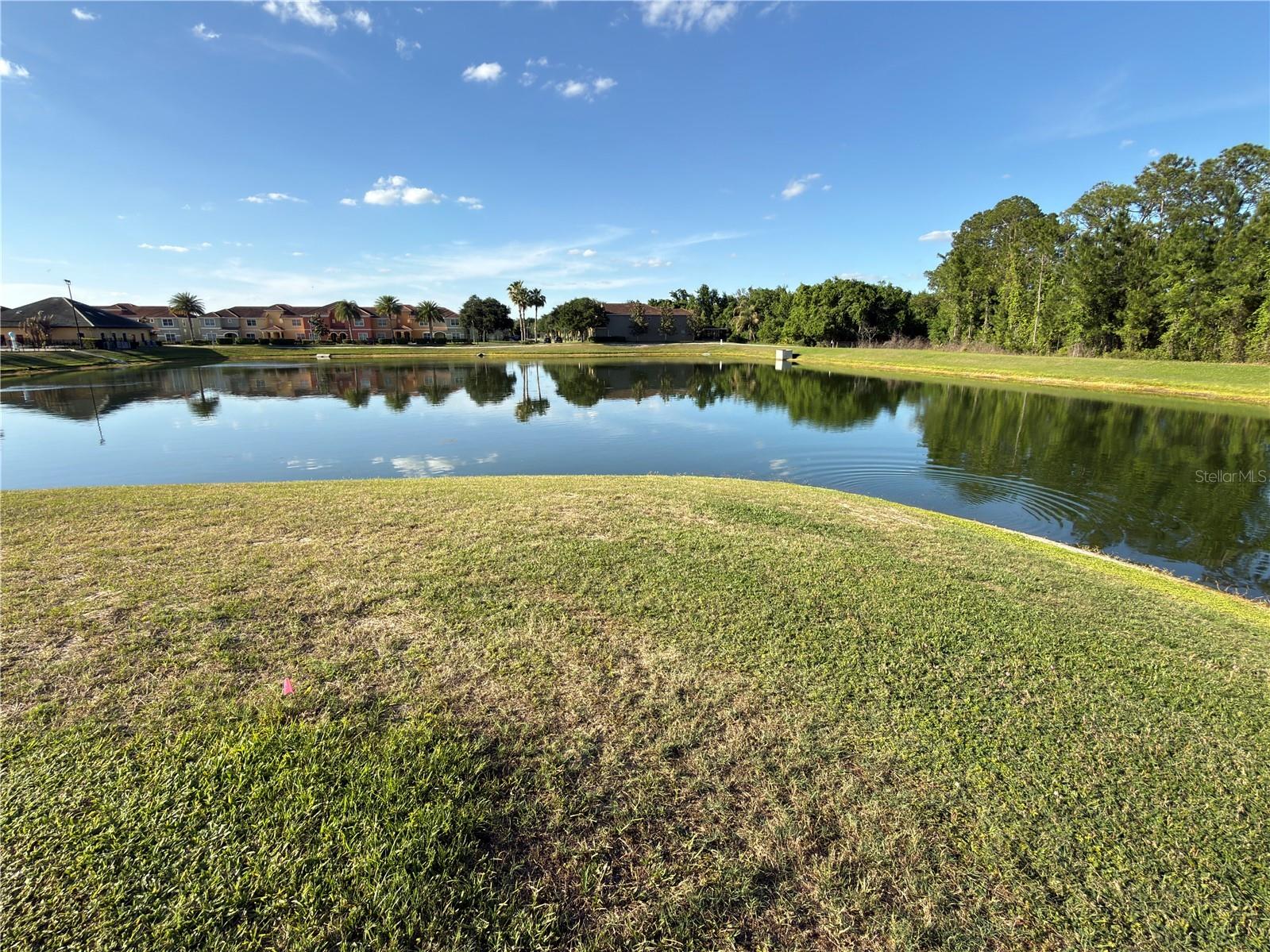 2997 Buccaneer Palm Road Kissimmee FL 34747 O6402181 image47