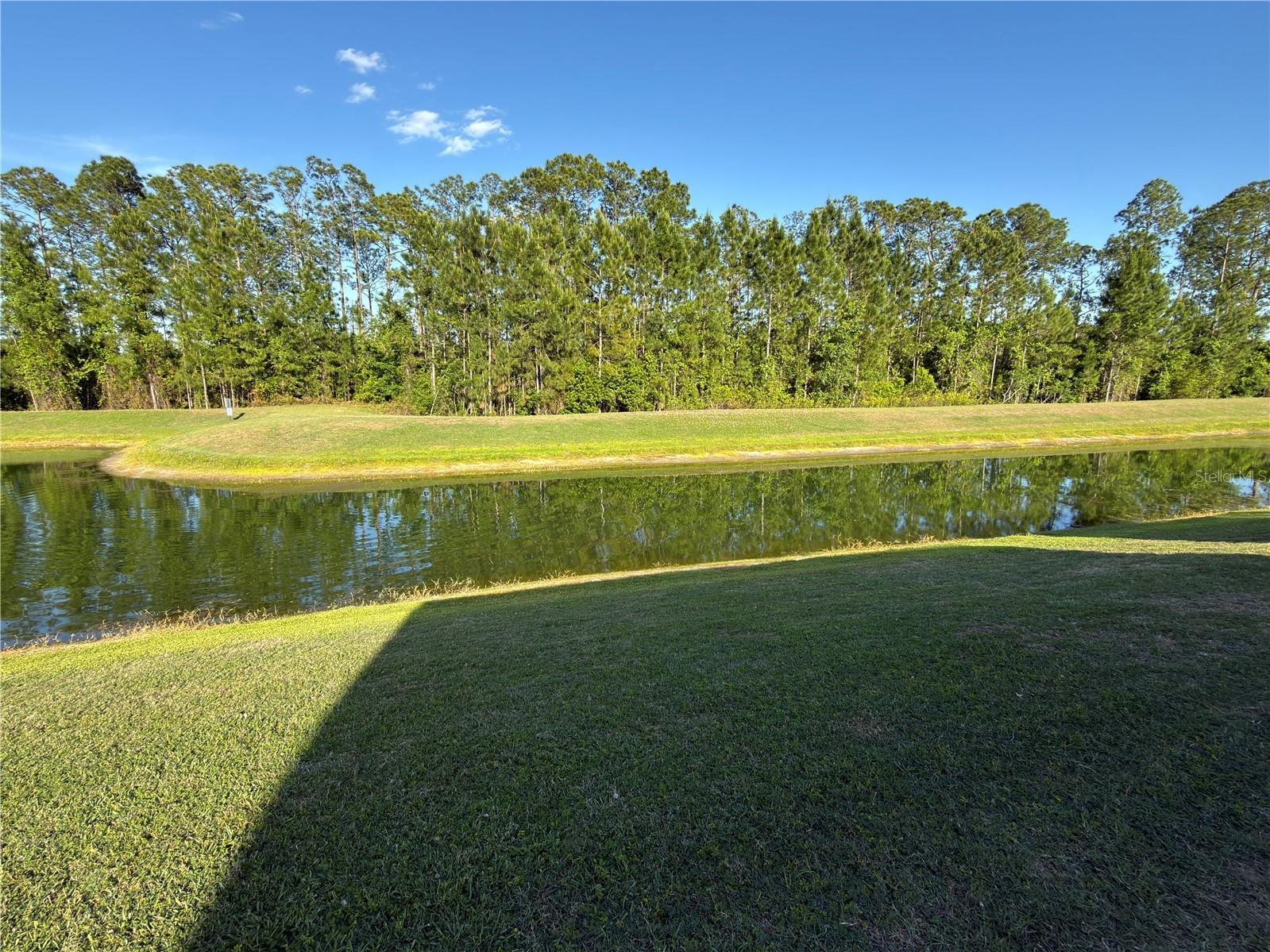2997 Buccaneer Palm Road Kissimmee FL 34747 O6402181 image49