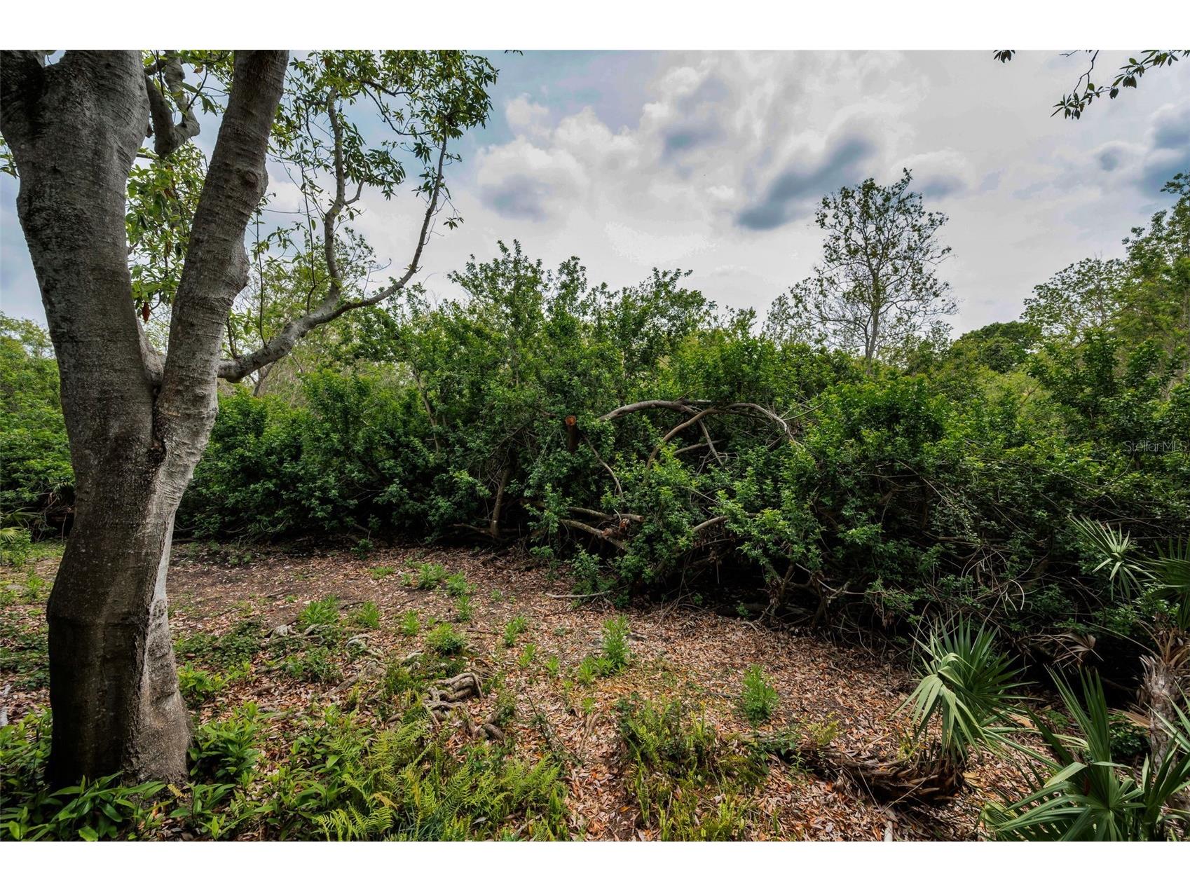 2997 Eagle Estates Circle E Clearwater FL 33761 TB8497271 image32