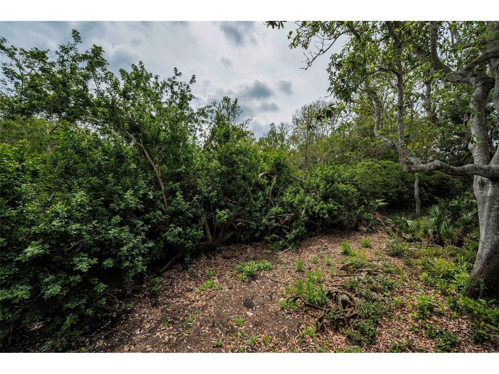 2997 Eagle Estates Circle E Clearwater FL 33761 TB8497271 image37