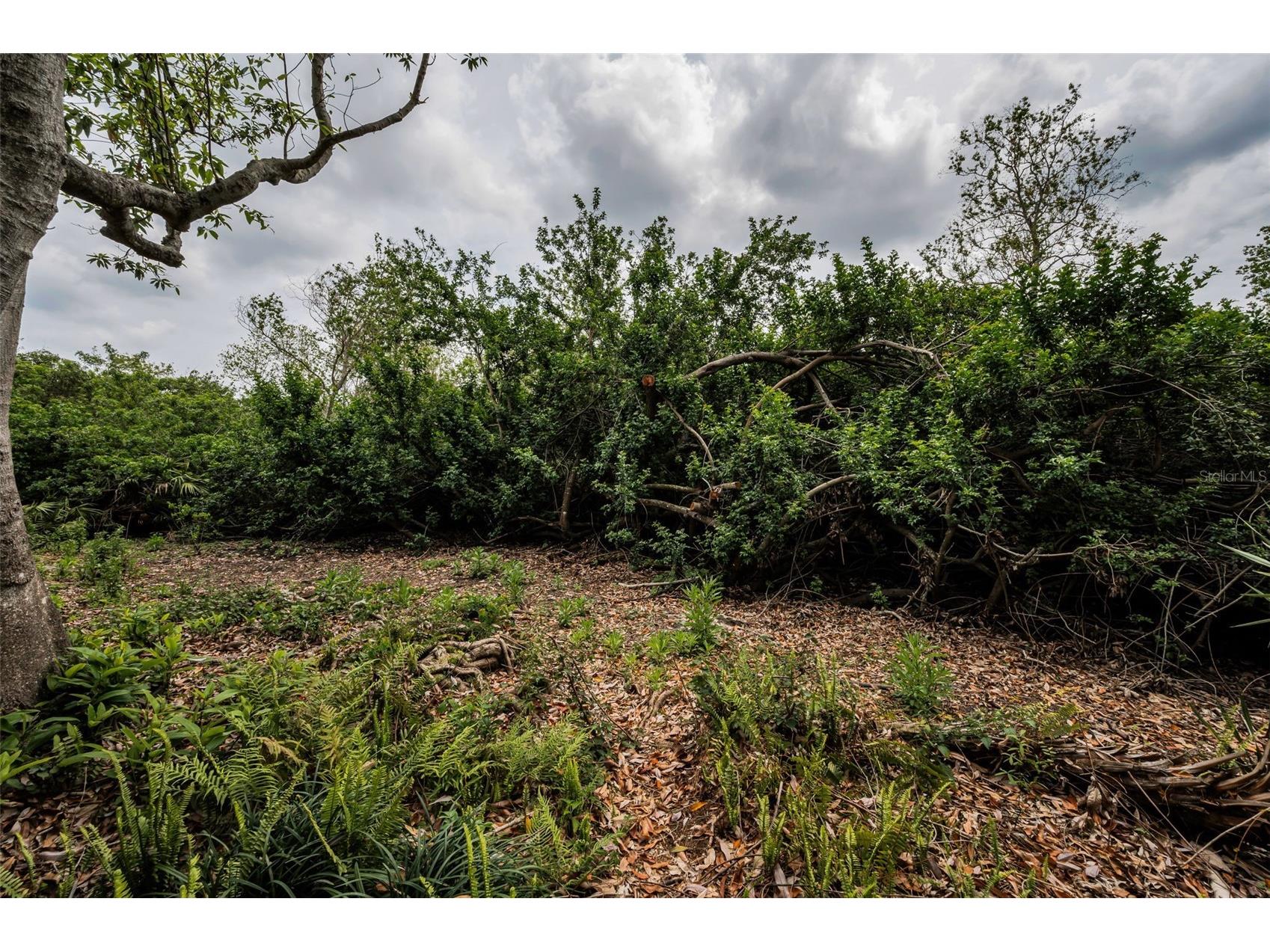 2997 Eagle Estates Circle E Clearwater FL 33761 TB8497271 image59