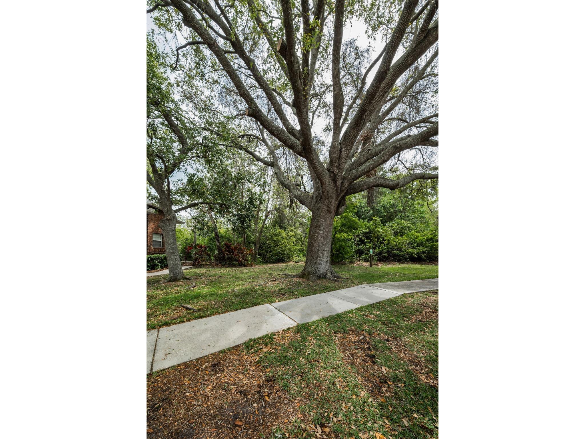 2997 Eagle Estates Circle E Clearwater FL 33761 TB8497271 image66
