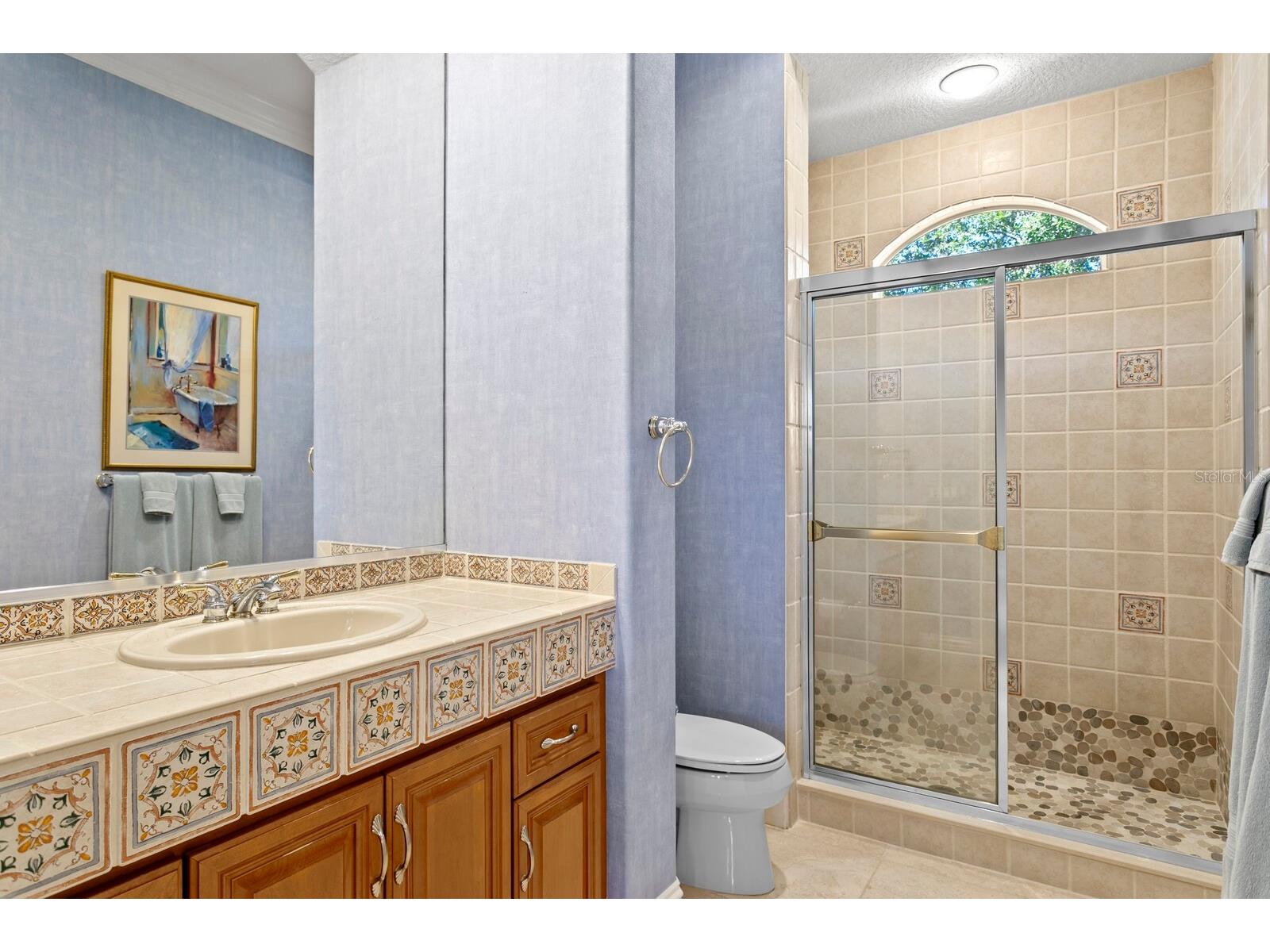 2997 Kensington Trace Tarpon Springs FL 34688 TB8518547 image34