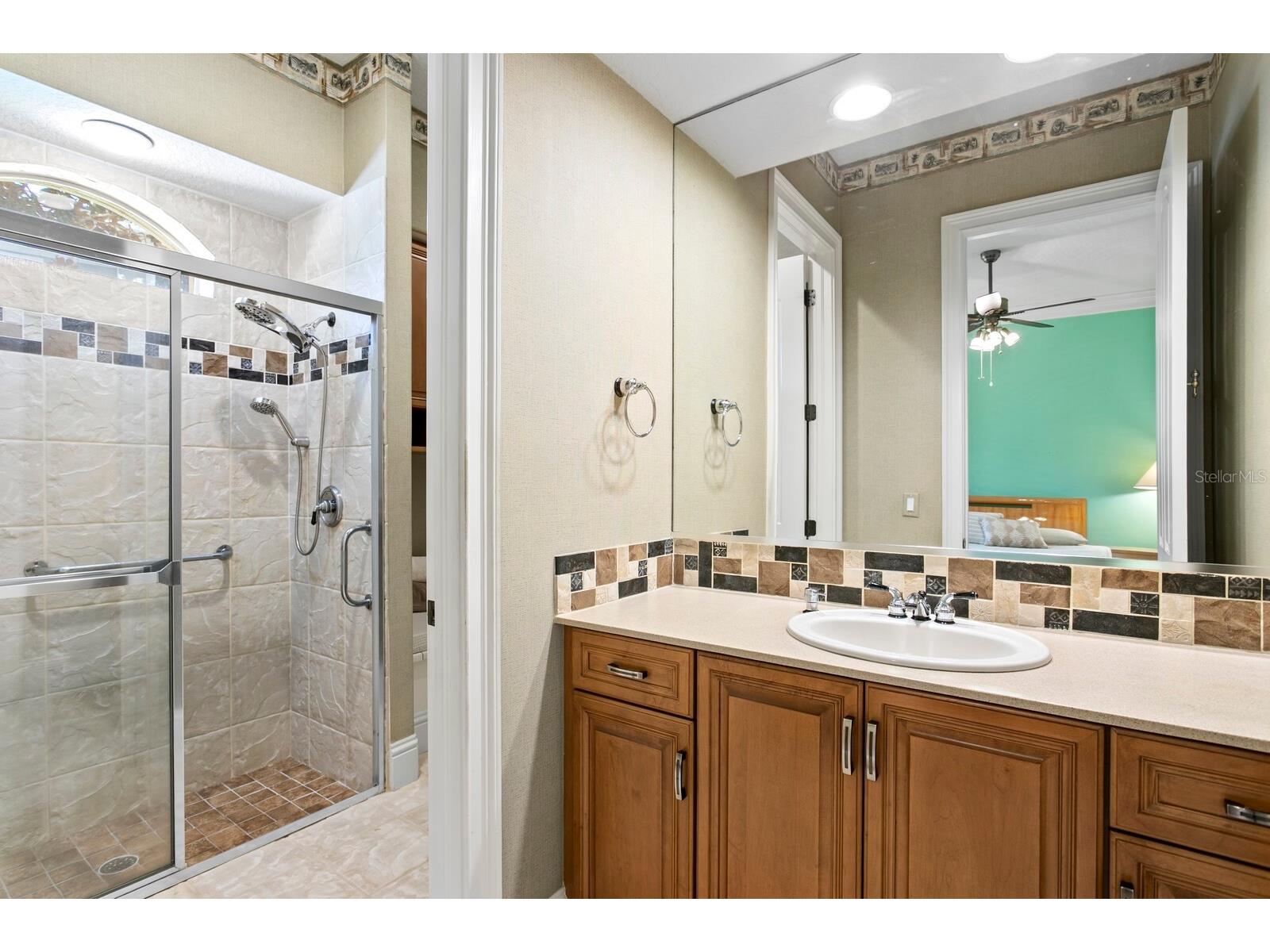 2997 Kensington Trace Tarpon Springs FL 34688 TB8518547 image37
