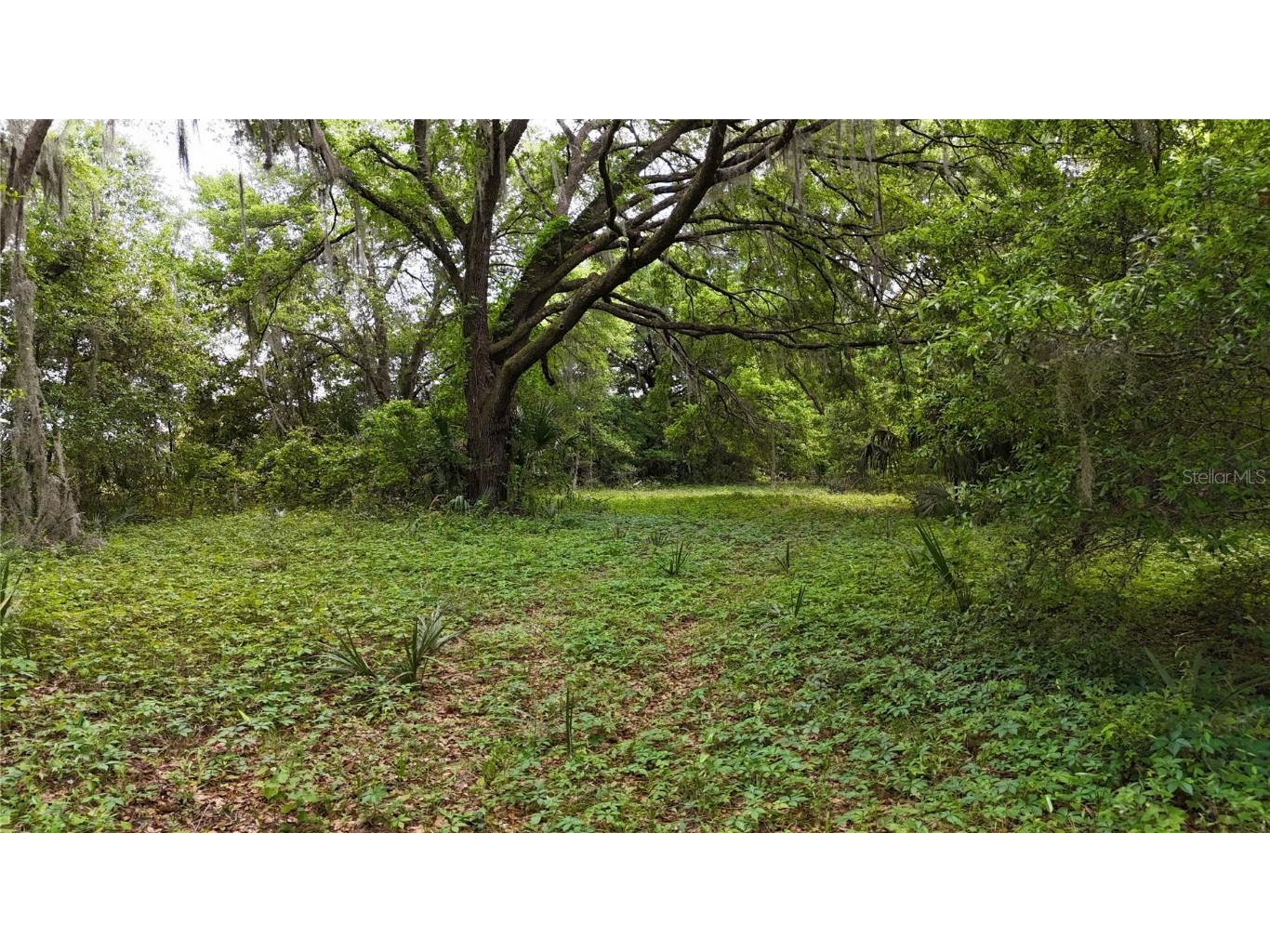 2ac NE 231st St Fort Mc Coy FL 32134 OM676430 image1