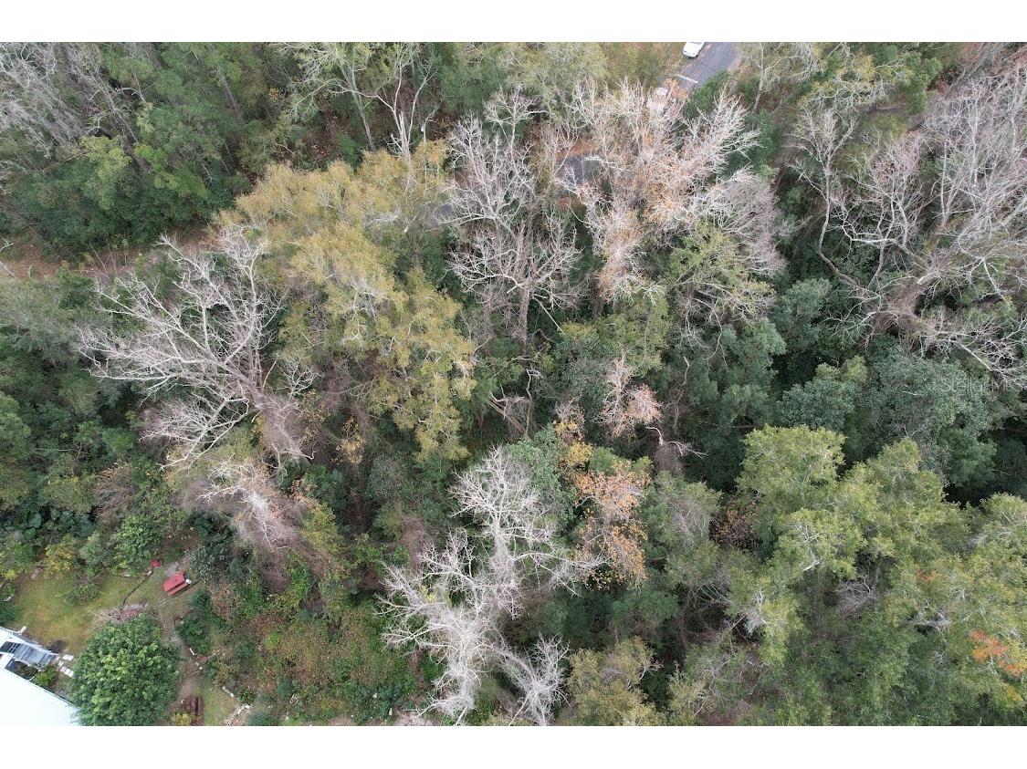 3-12-2N-4W-1100-0000B-009 Station Street Quincy FL 32351 A4605497 image2