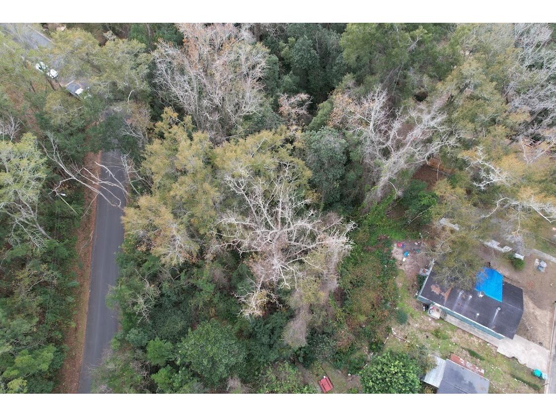 3-12-2N-4W-1100-0000B-009 Station Street Quincy FL 32351 A4605497 image3