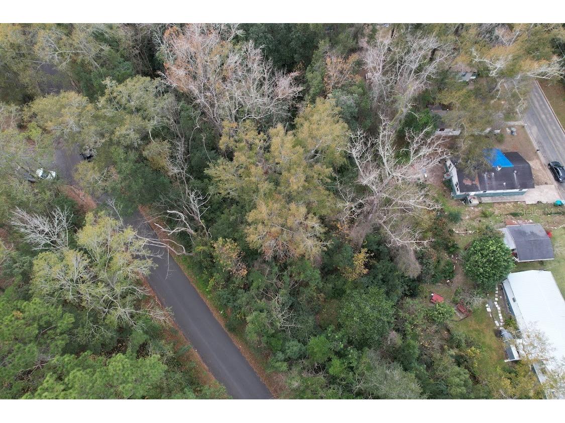 3-12-2N-4W-1100-0000B-009 Station Street Quincy FL 32351 A4605497 image4