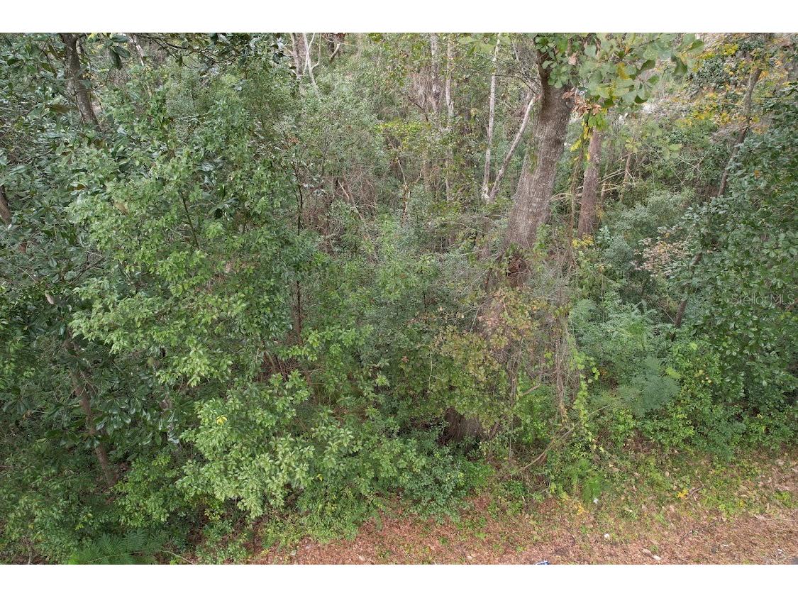 3-12-2N-4W-1100-0000B-009 Station Street Quincy FL 32351 A4605497 image6