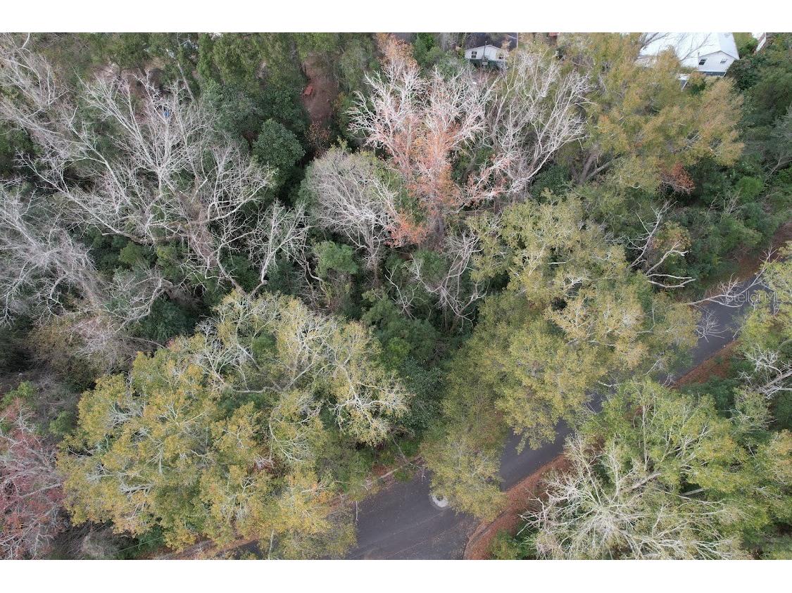 3-12-2N-4W-1100-0000B-009 Station Street Quincy FL 32351 A4605497 image7