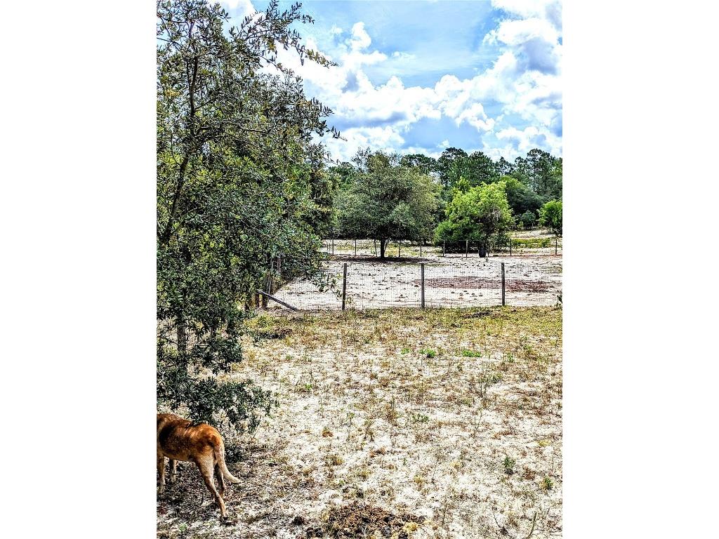 3-ACRE W Carpenter Court Dunnellon FL 34433 OM659881 image1