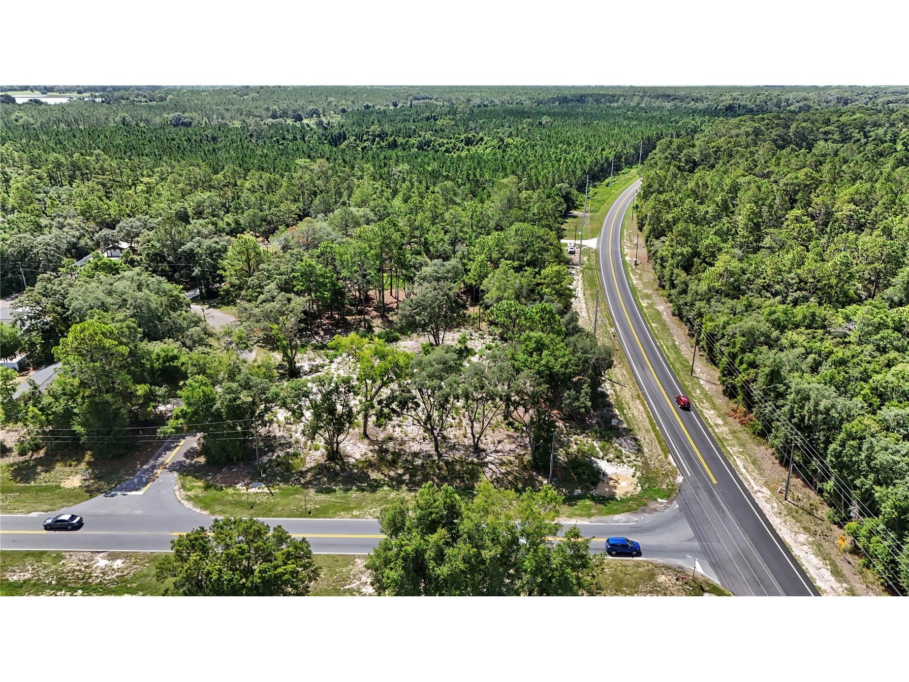 3 Bay Drive Ocklawaha FL 32179 O6422128 image17