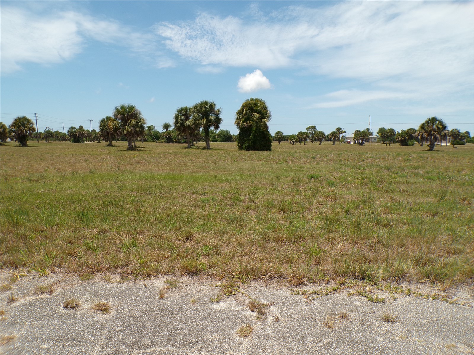 3 Birch Court Placida FL 33946 C7525660 image5