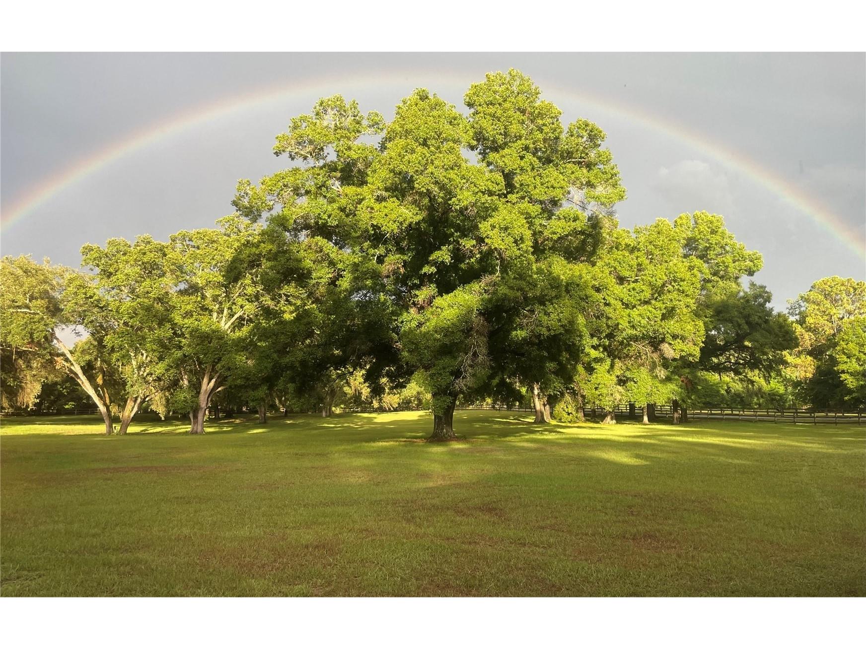 3 Carry Back Road Ocala FL 34482 OM697957 image30