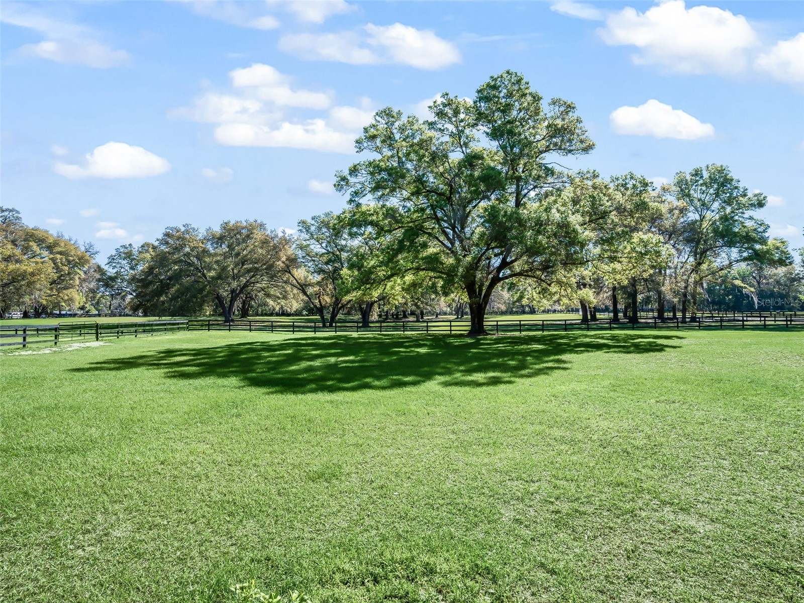 3 Carry Back Road Ocala FL 34482 OM697957 image31