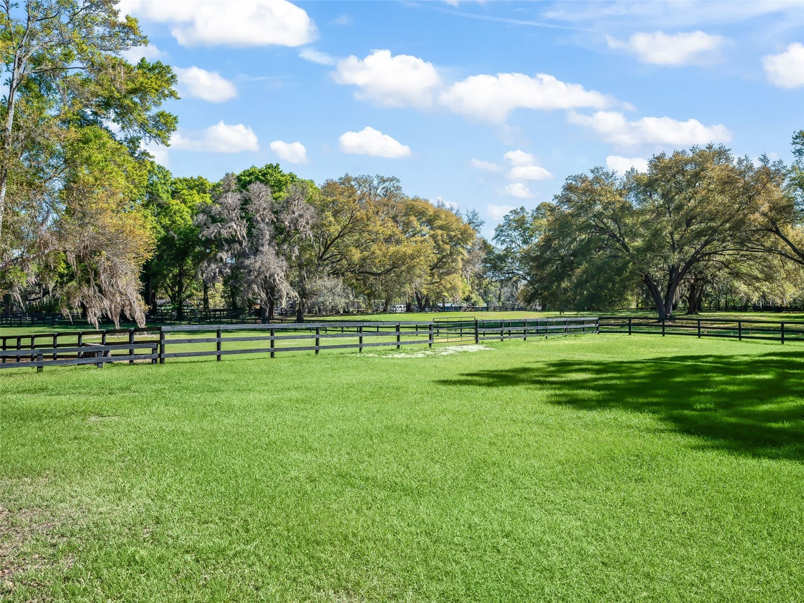 3 Carry Back Road Ocala FL 34482 OM697957 image32