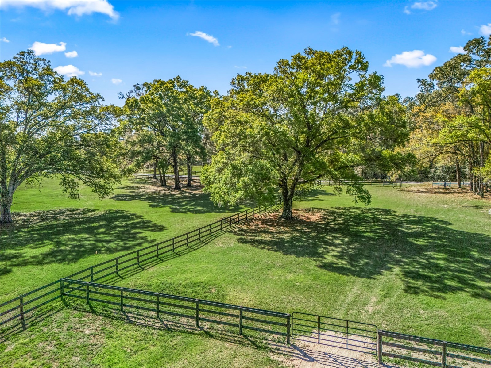 3 Carry Back Road Ocala FL 34482 OM697957 image35