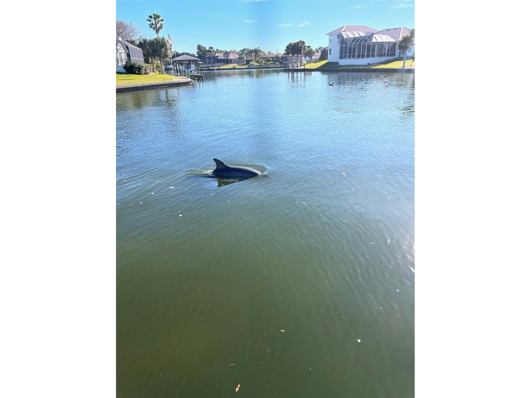3 Creek Court Palm Coast FL 32137 - CRAZY HORSE COVE FC302476 image57