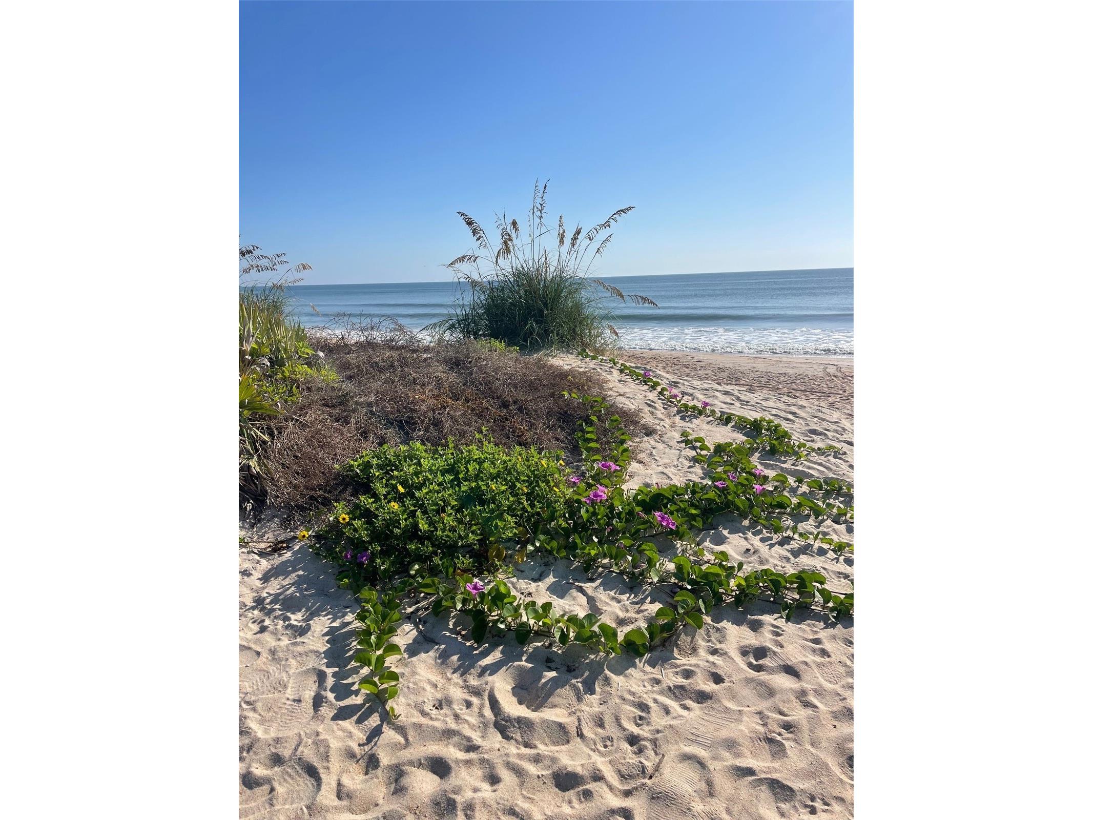 3 Creek Court Palm Coast FL 32137 - CRAZY HORSE COVE FC302476 image67